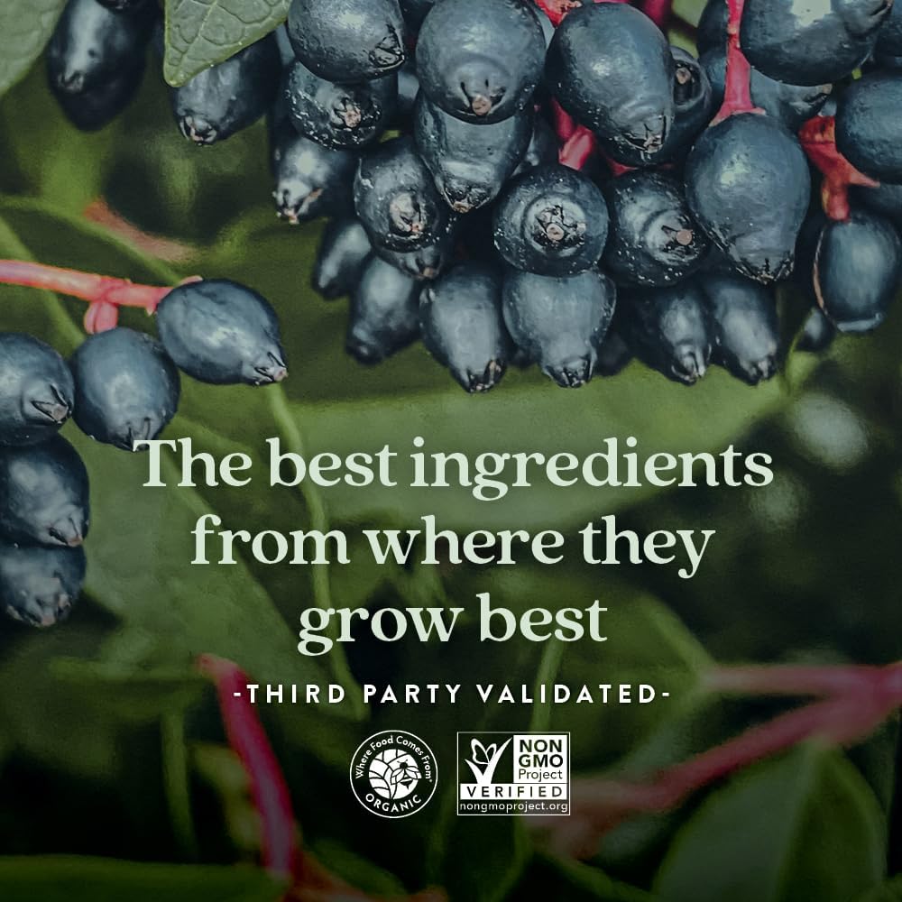 Non-GMO Women's 50+ Multivitamin Gummies with Vitamin C, B Vitamins, and Zinc - Berry Citrus Flavored - 90 Count