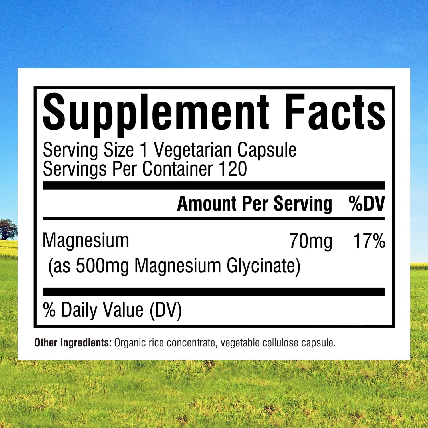 Non-GMO Women's Probiotic & Magnesium Glycinate Bundle - Gluten-Free, Dairy-Free, Soy-Free, Vegan - 120 Magnesium Capsules & 60 Probiotic Capsules