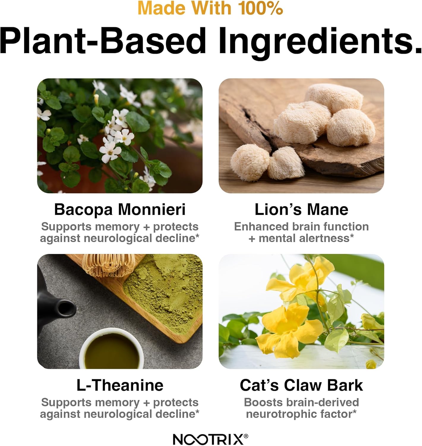 Nootrix Prime Brain Supplement for Men & Women - Memory, Clarity, Cognitive Improvement - Energy & Mood Booster with Ginkgo Biloba, Lion's Mane, L Theanine - 60 Count