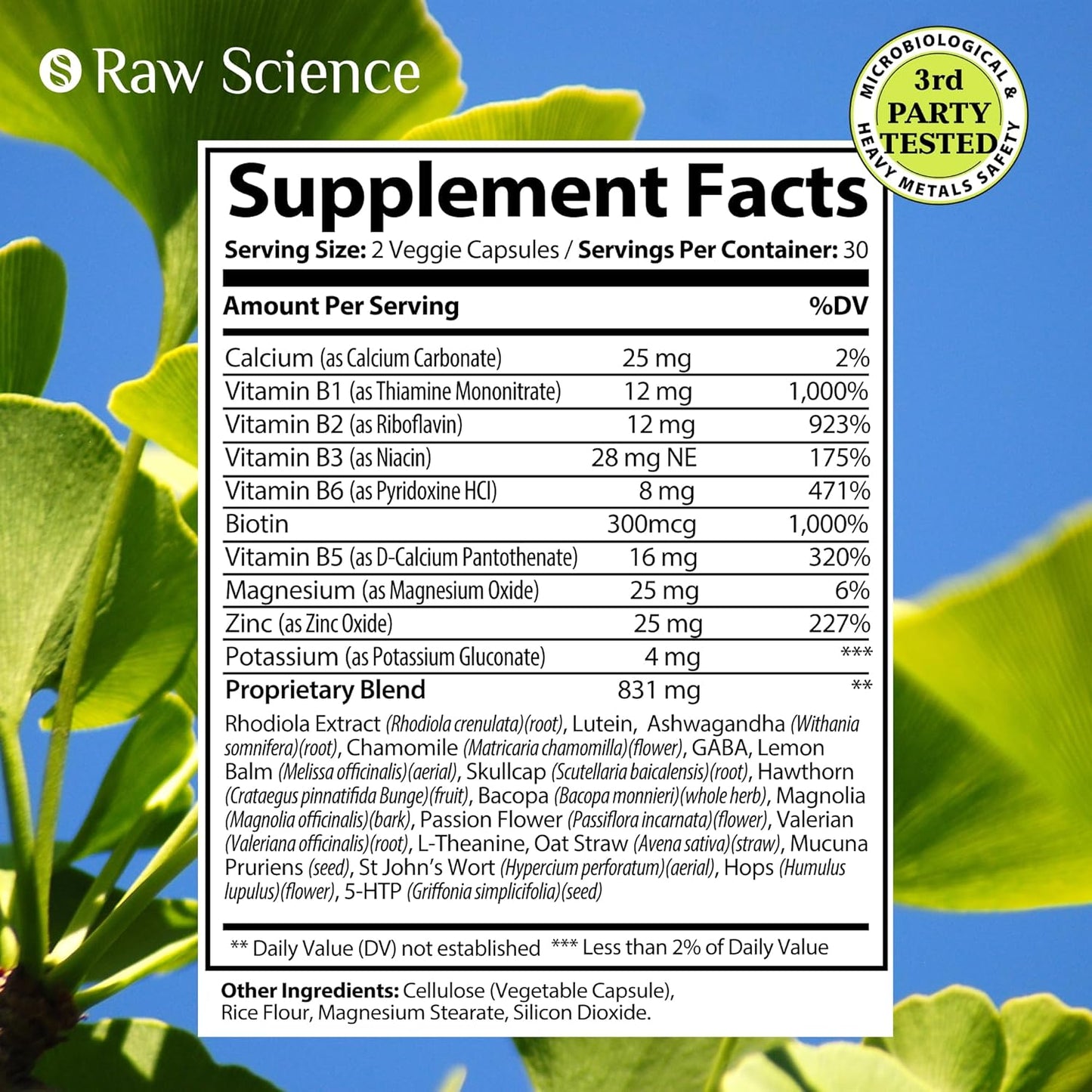 Nootropic Brain Supplements for Memory, Focus & Mood - Ashwagandha, L-Theanine, Rhodiola Extract, GABA, 5HTP - Supports Cortisol & Magnesium Oxide - 60 Capsules