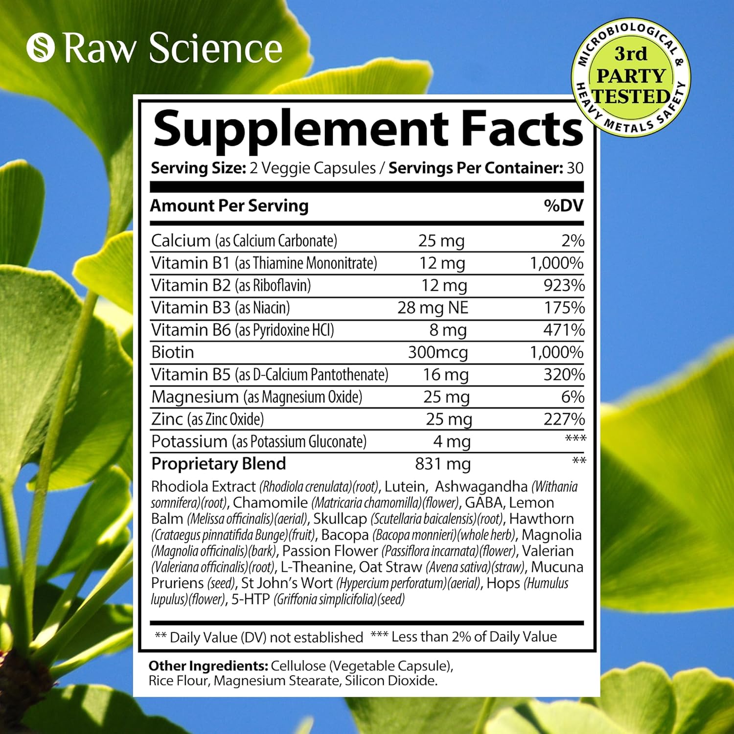 Nootropic Brain Supplements for Memory, Focus & Mood - Ashwagandha, L-Theanine, Rhodiola Extract, GABA, 5HTP - Supports Cortisol & Magnesium Oxide - 60 Capsules