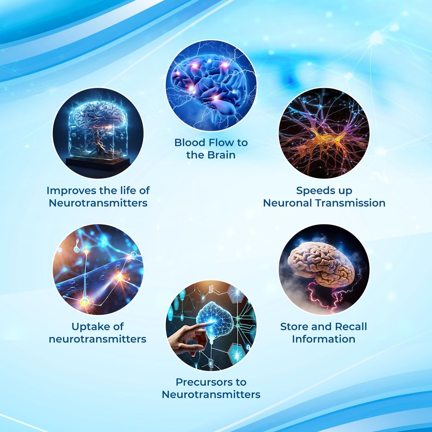 Nootropic Supplement for Focus & Memory Support - Brain Booster Pills with Vitamins, Choline, Ginseng, Gingko - 40 Count for Men & Women