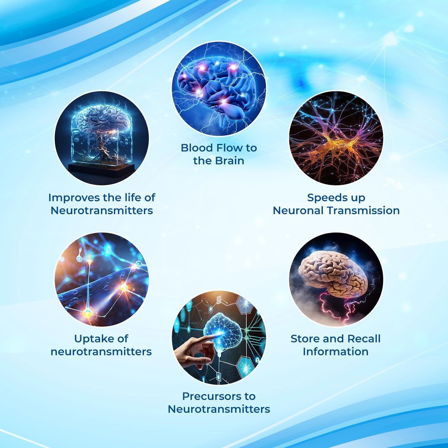 Nootropic Supplement for Focus & Memory Support - Brain Booster Pills with Vitamins, Choline, Ginseng, Gingko - 40 Count for Men & Women