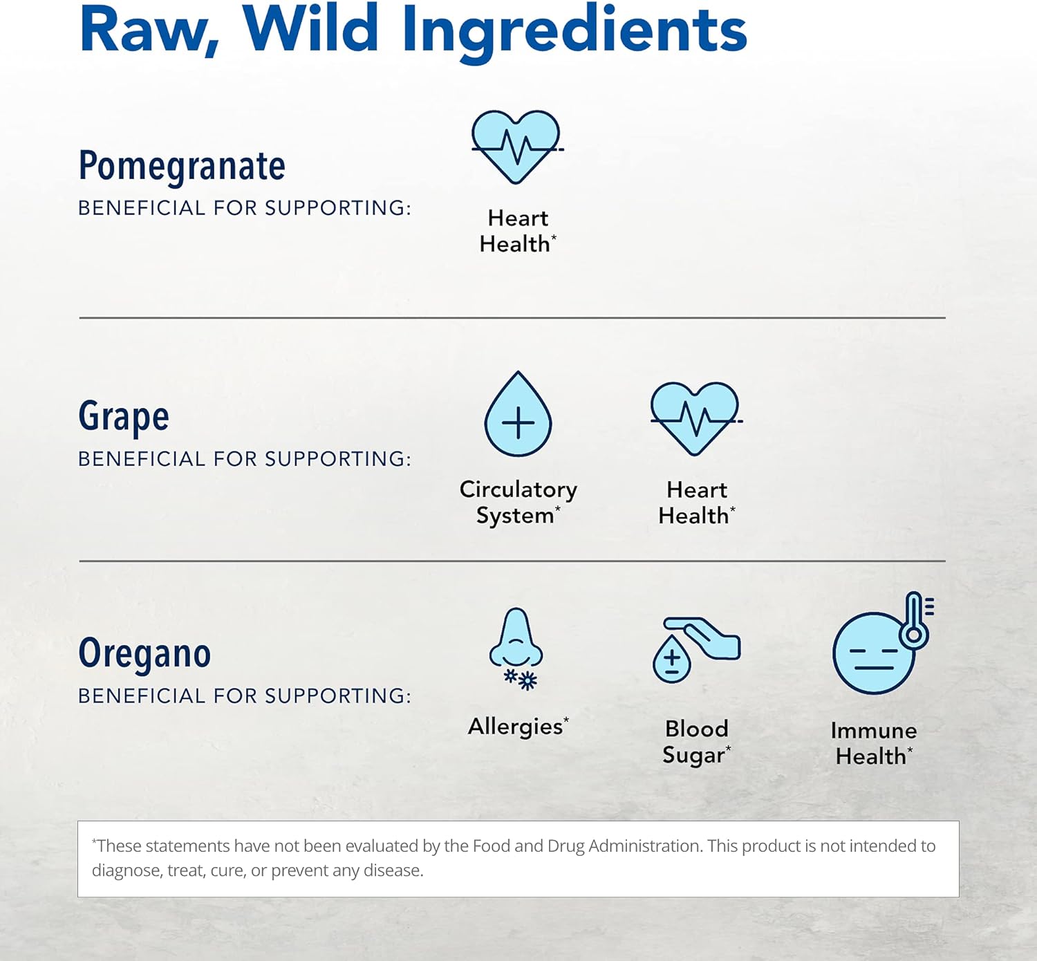 NORTH AMERICAN HERB & SPICE Oreganol Juice with Pomegranate & Grape - 12 fl oz - Cardiovascular Support - Non-GMO - 12 Servings