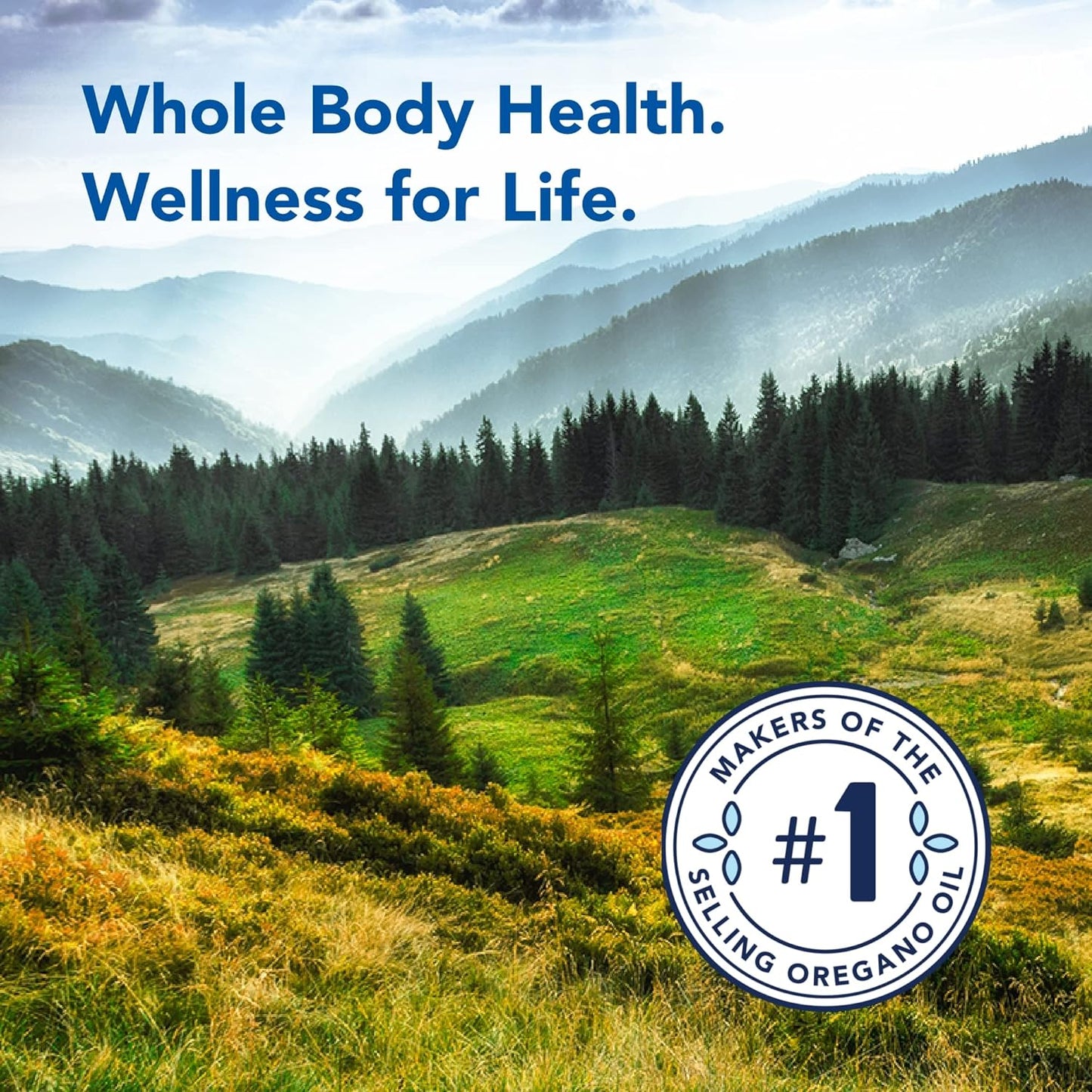 NORTH AMERICAN HERB & SPICE OregaResp P73-60 Softgels for Immune & Respiratory Health, Oreganol P73 Oregano Oil - Non-GMO - 30 Servings