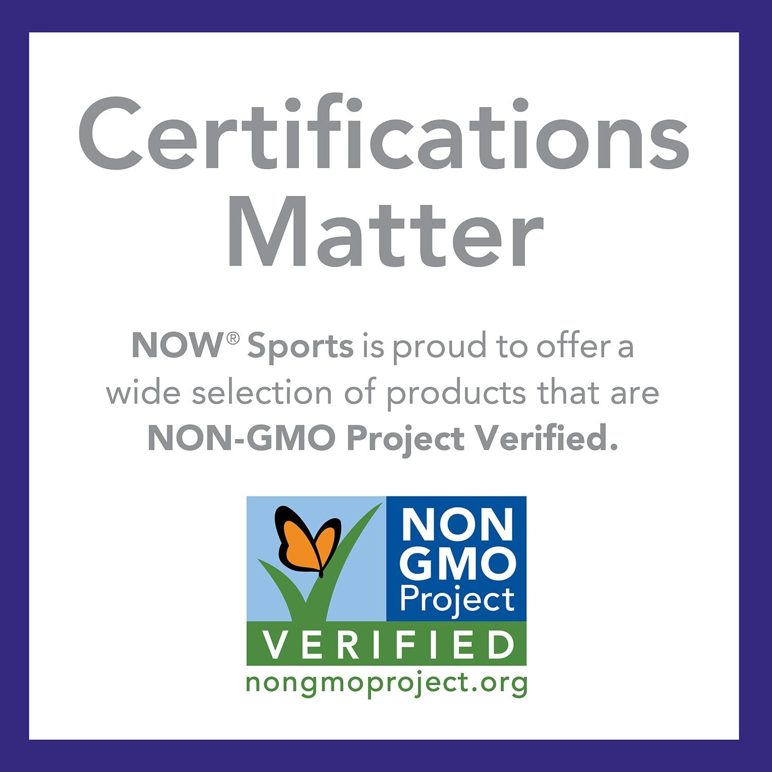 NOW Sports Nutrition Pea Protein Powder 24g, Unflavored, Easily Digestible - 12oz x2 Pack