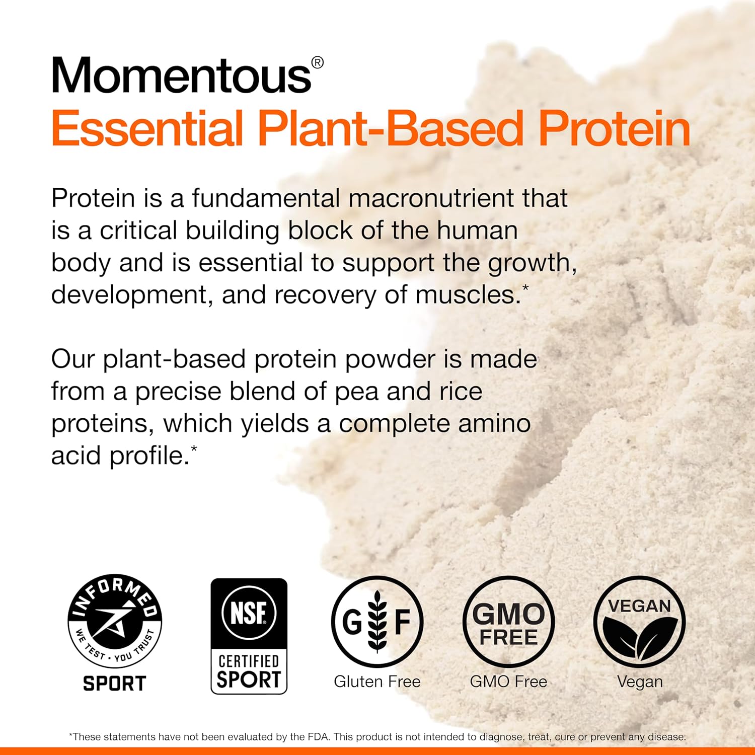 NSF Certified Vegan Protein Powder - Chocolate Flavor, 20g Plant Based Protein, 20 Servings, Gluten-Free & Non-GMO - Ideal for Everyday Use