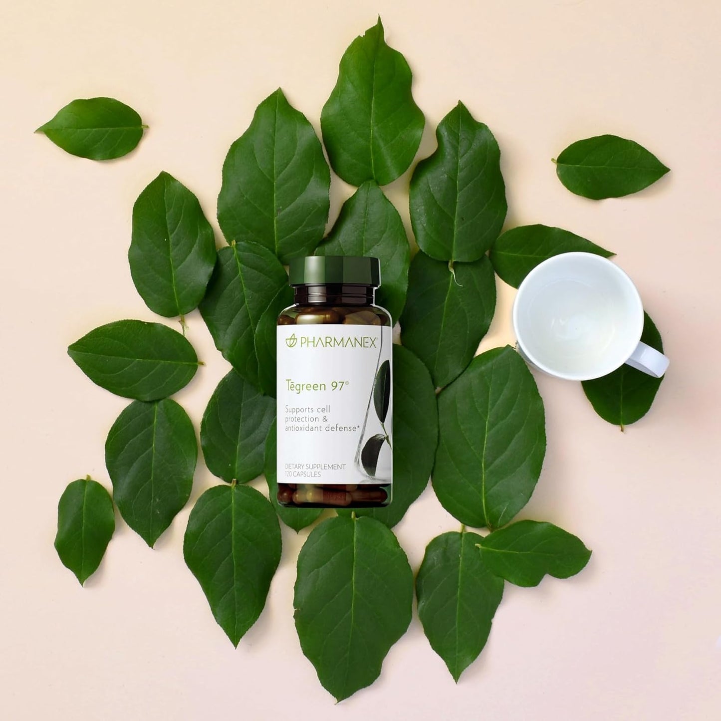 Nu Skin Pharmanex Tegreen 97 Capsules - 120 Count - Powerful Antioxidant for Cell Protection and Health