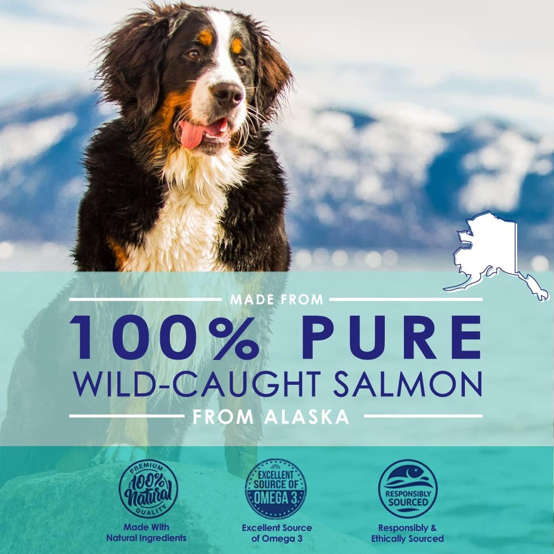 NuLife Natural Pet Health Wild Alaskan Salmon Oil for Dogs, Omega 3 Fish Supplement, Healthy Skin & Coat, Prevents Itchy Skin & Allergies, 120 Capsules