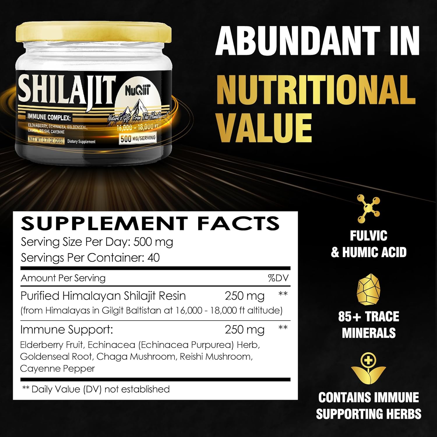 NUQIIT 20 Grams - Shilajit Resin with Elderberry, Echinacea, Goldenseal, Chaga, Reishi, and Cayenne for Immune Support