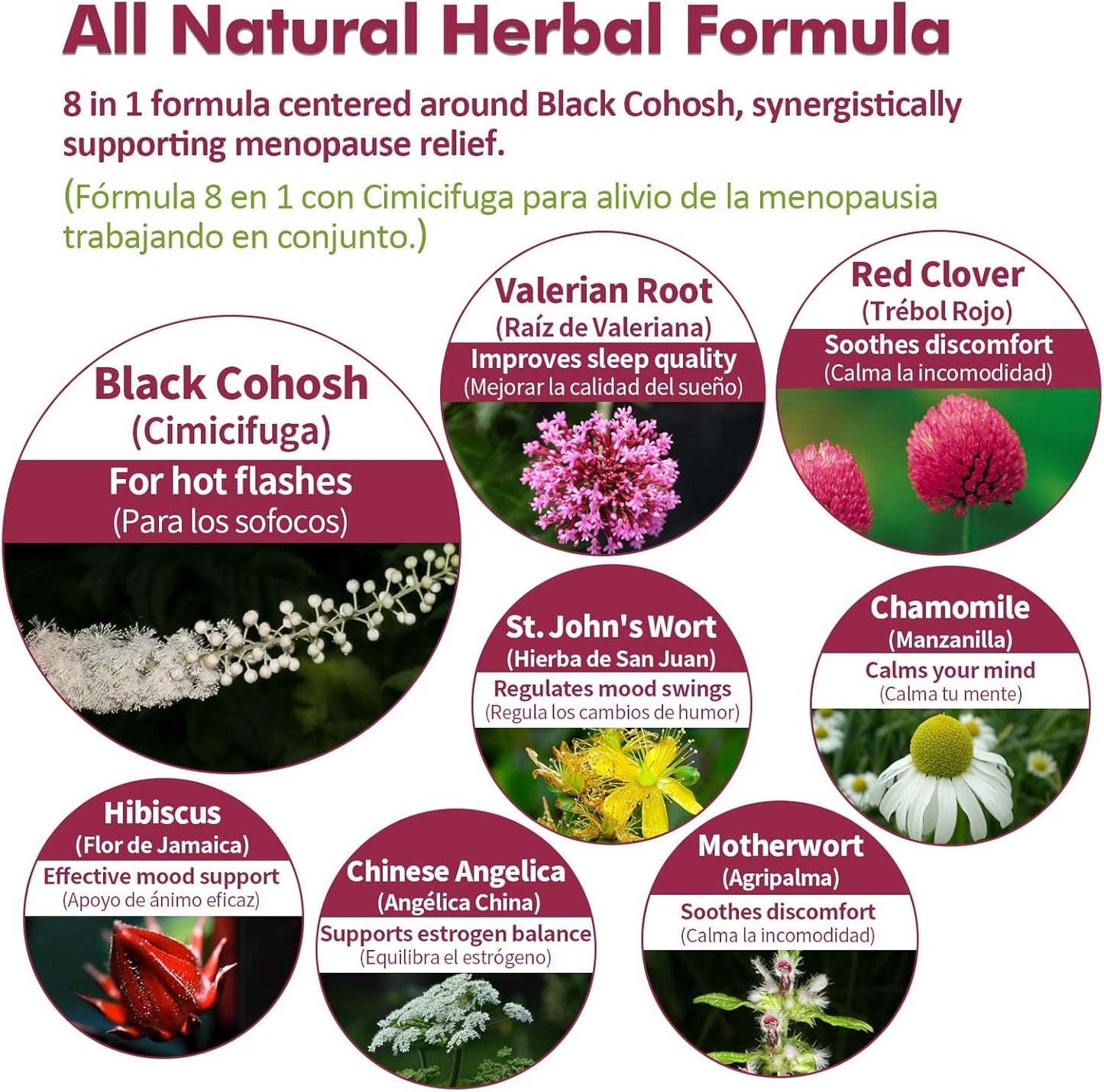 Nurbetoxa Black Cohosh Menopause Support Drops - Natural Estrogen Hormones for Women, 60-Day Strength | Hair, Skin, and Nails Revitalization, 4Fl Oz