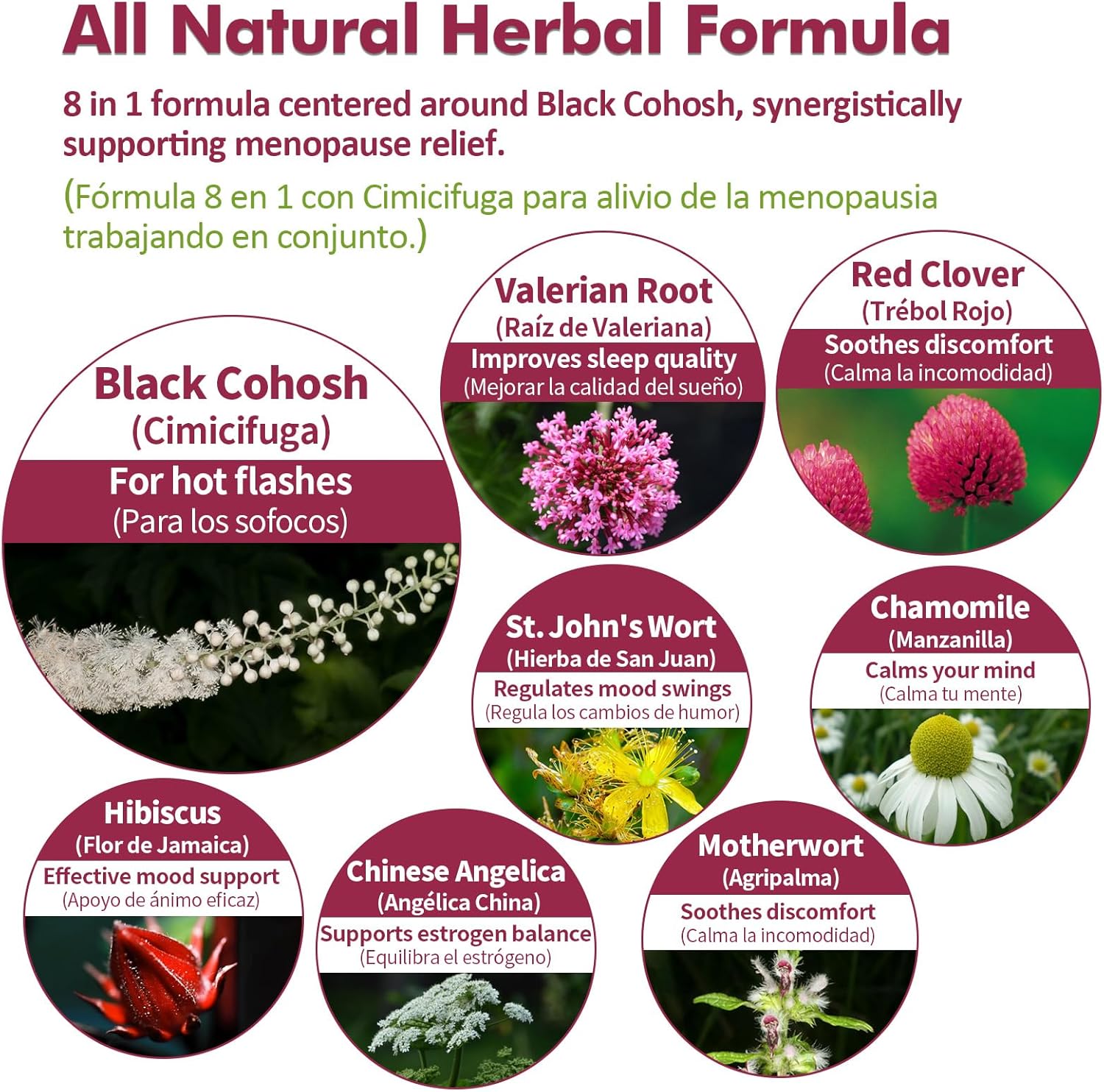 Nurbetoxa Black Cohosh Menopause Support Drops - Natural Estrogen Hormones for Women, 60-Day Strength | Hair, Skin, and Nails Revitalization, 4Fl Oz