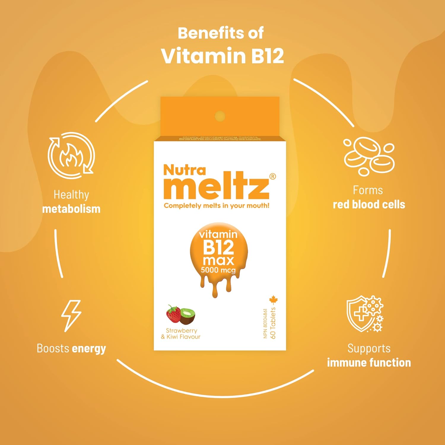 Nutra Meltz Vitamin B12 5000 mcg Quick Dissolving Tablets - Methylcobalamin for Energy, Cognition, Red Blood Cells - Strawberry & Kiwi Flavor - 60 Tablets