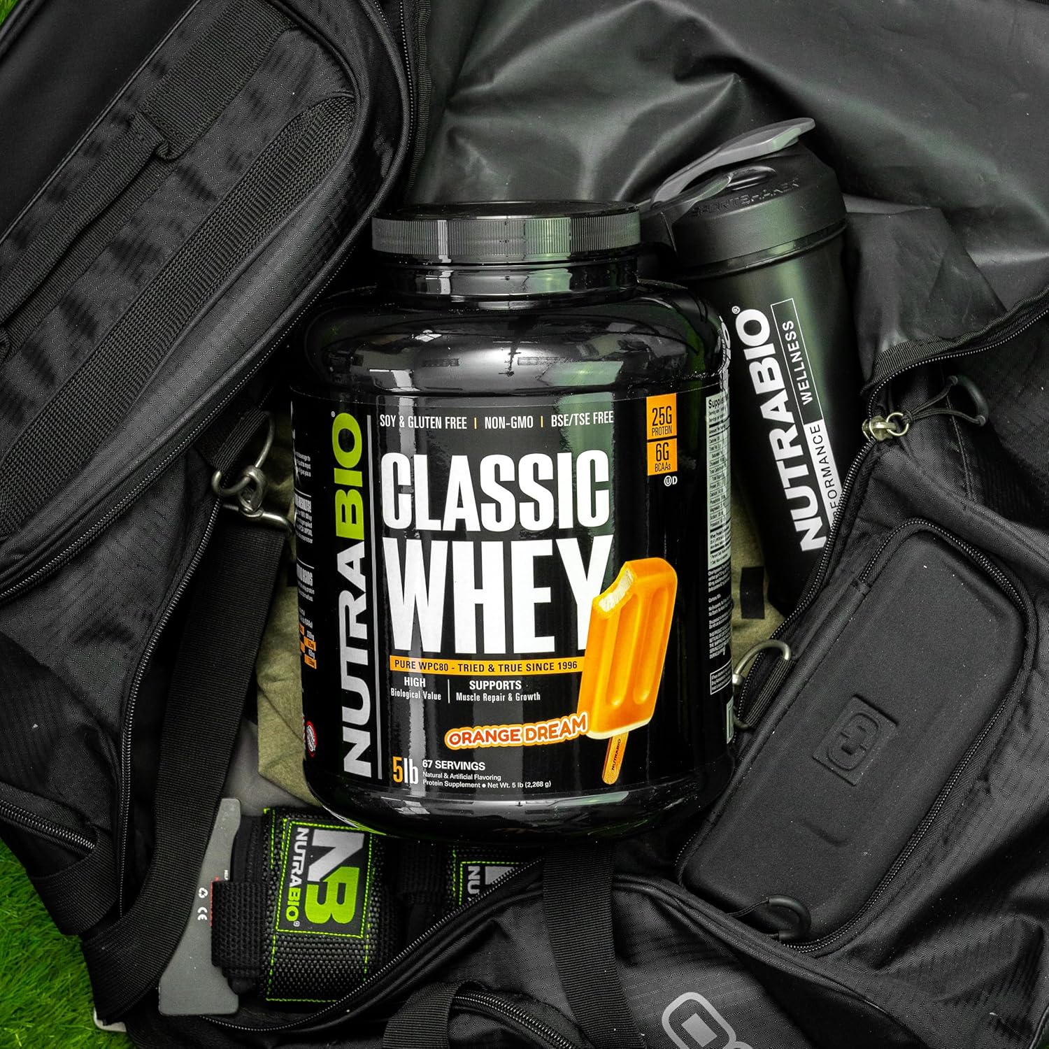 NutraBio Classic Whey Protein Powder Orange Dream Flavor - 5lb Tub - High Protein Content - No Artificial Additives