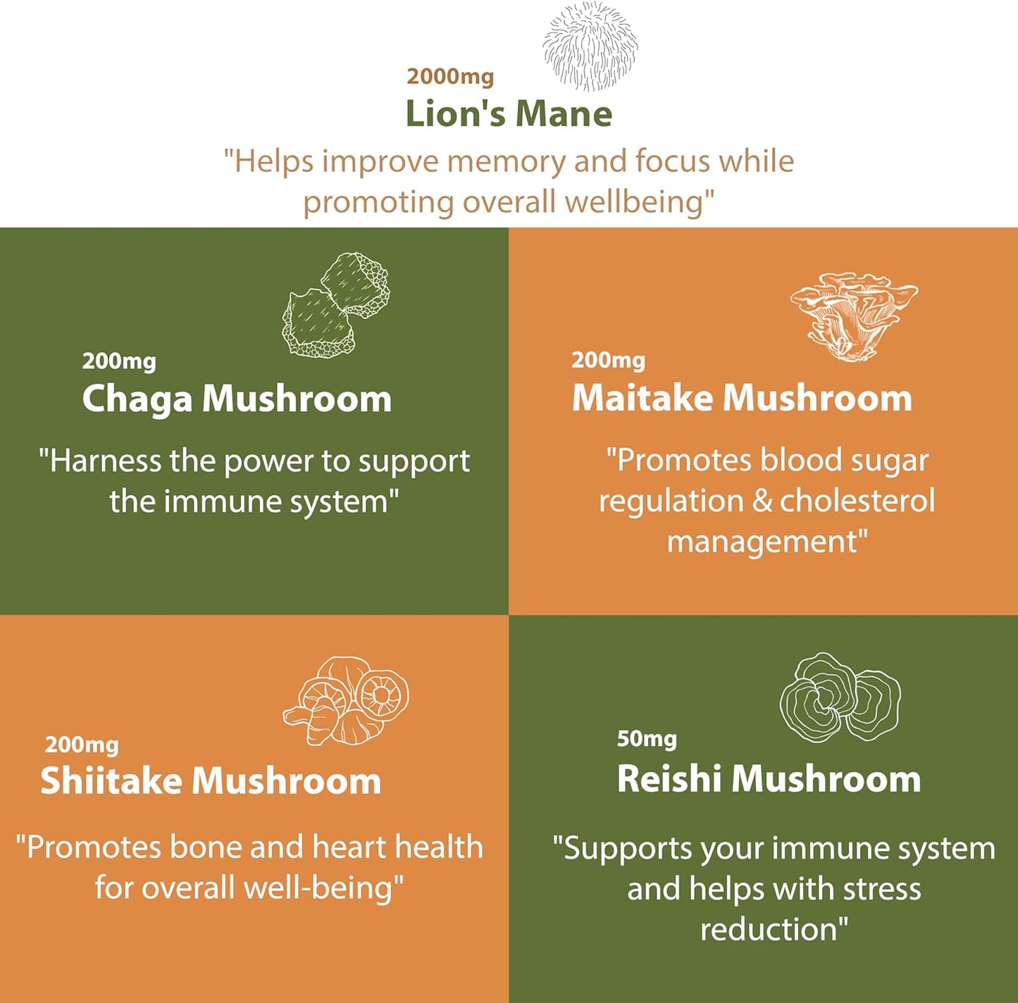 Nutradora Lions Mane and Reishi Supplement Capsules - 2000mg Mushroom Strength with Chaga, Shiitake, Maitake - Mental Clarity, Memory, Immune Support - USA Grown