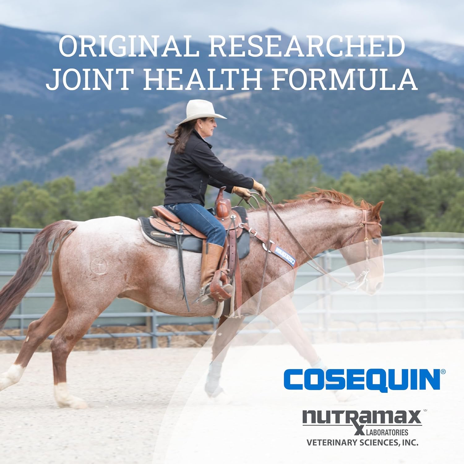 Nutramax Cosequin Original Joint Health Supplement for Horses - 700g Powder with Glucosamine & Chondroitin