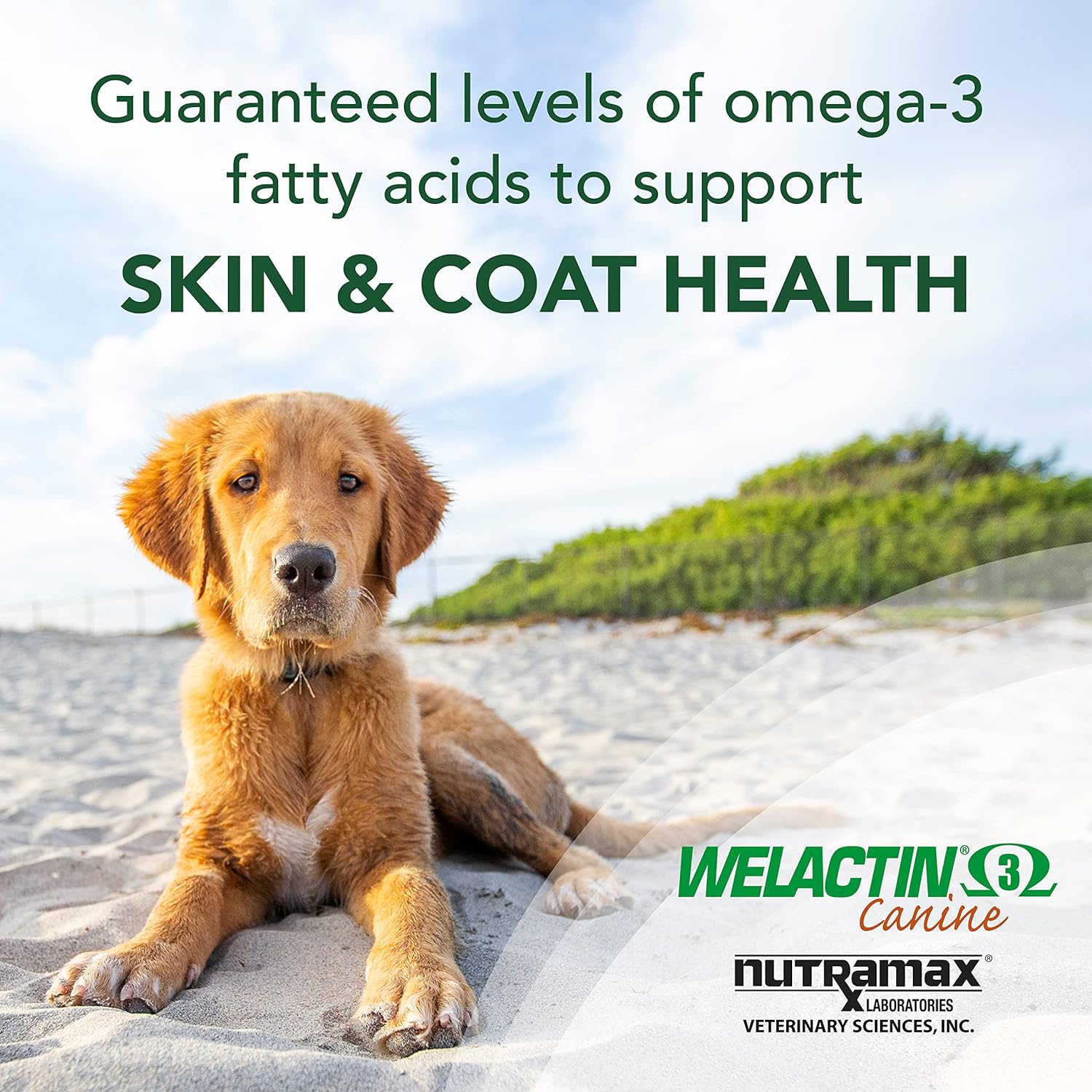 Nutramax Welactin Canine Soft Gel Supplements - 120 ct Bottle