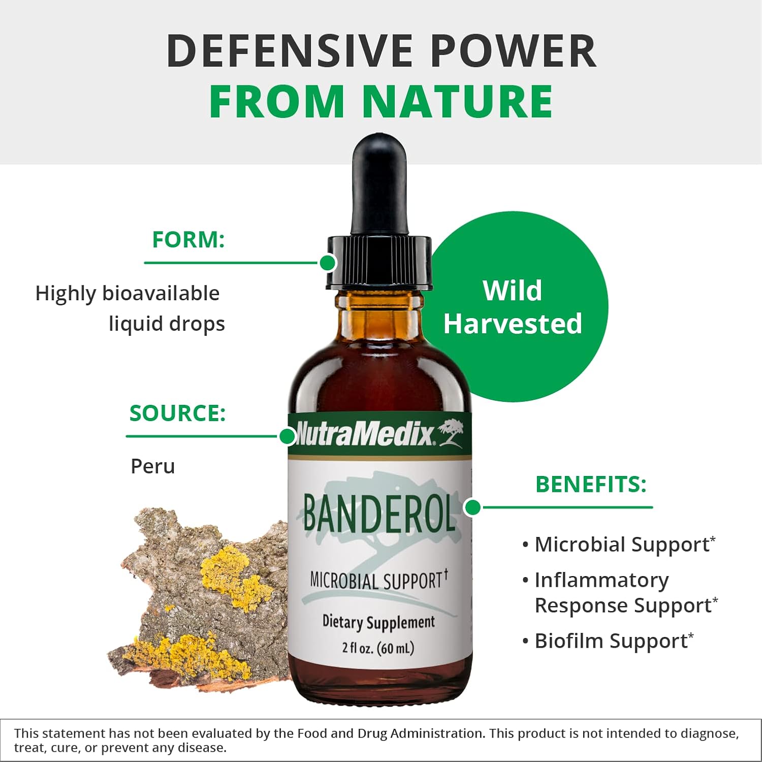 NutraMedix Immune Boosting Bundle - Samento & Banderol Liquid Tinctures for Microbial Health - Herbal Extracts for Immune Support - 2 Oz (2 Pack)