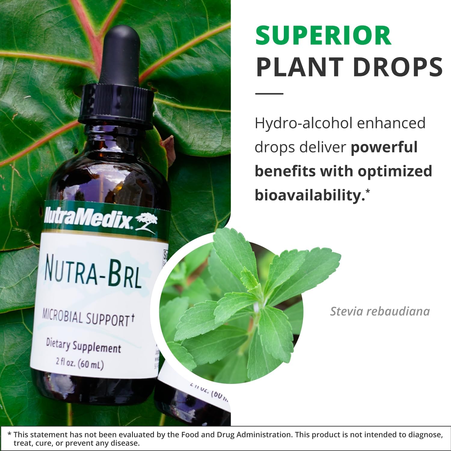 NutraMedix Nutra BRL Liquid Herbal Supplement - Supports Gut Health & Immune System with Samento & Banderol - Digestive Health & Immunity Booster - 60mL