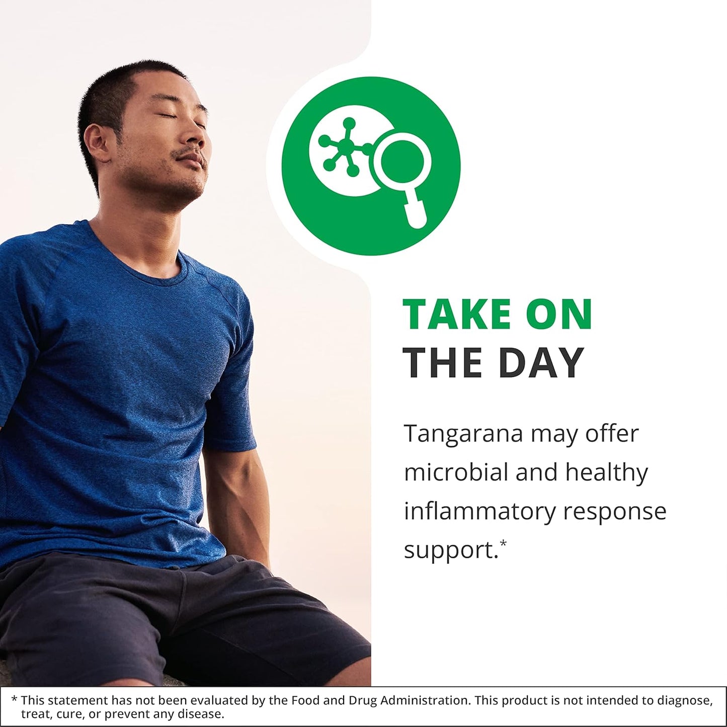 NutraMedix Palo Santo Drops - Triplaris peruviana Extract for Inflammation Support - Vegan Plant Supplement (1oz)