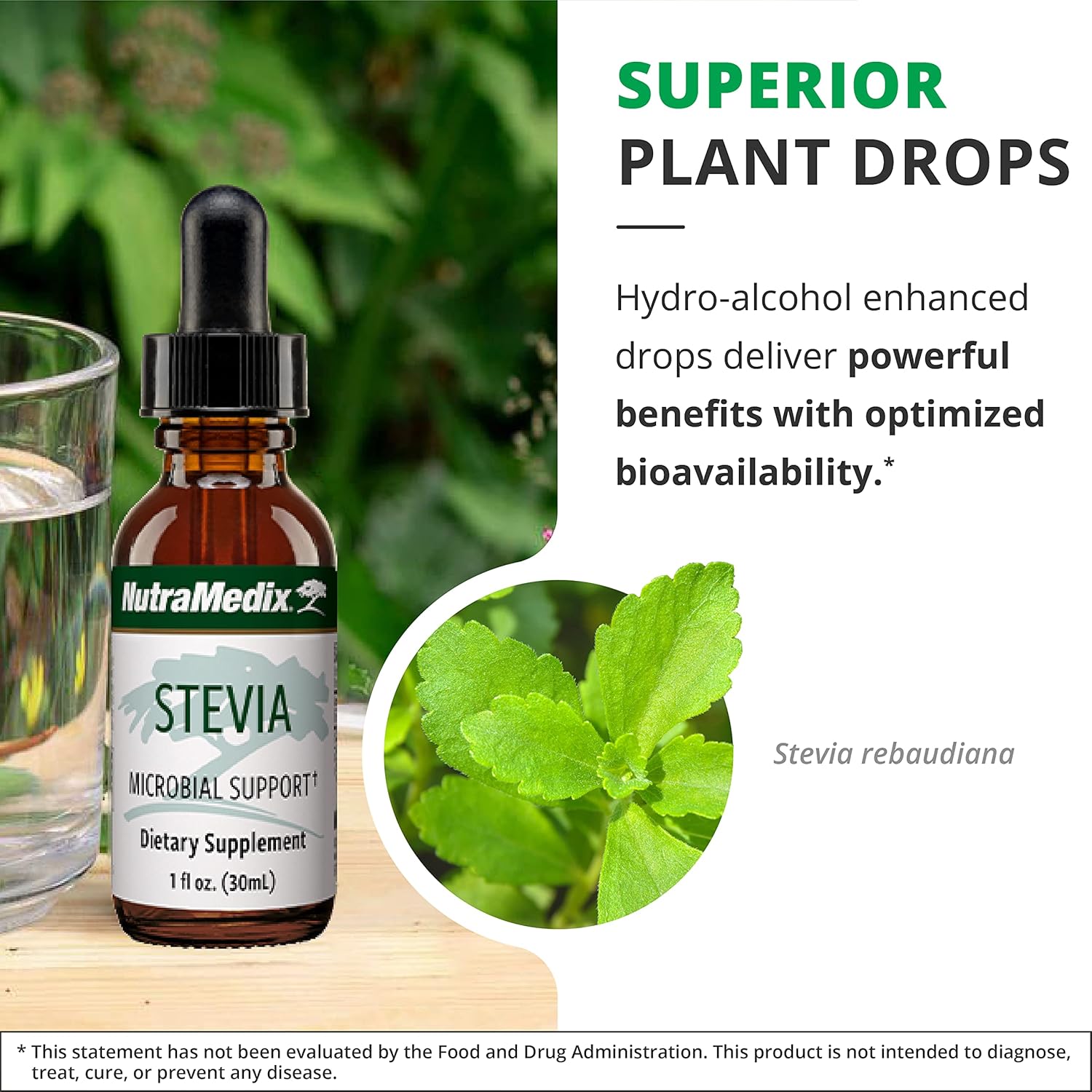 NutraMedix Stevia Drops - Bioavailable Liquid Extract for Microbial Support - Natural Sugar Alternative with Low-Carb Benefits (1 oz / 30 ml)