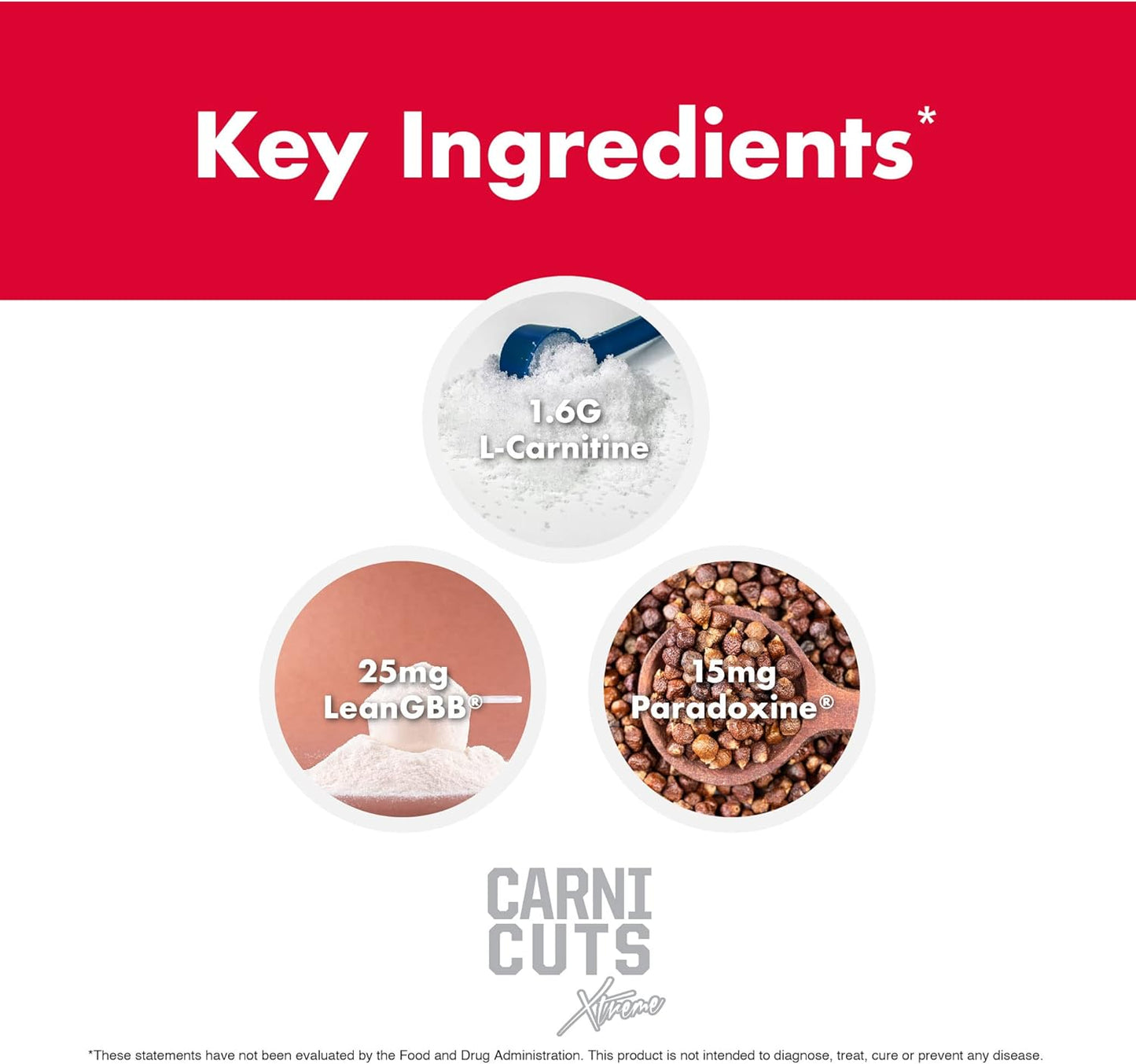 NutraOne Carnicuts Xtreme, L-Carnitine Liquid Supplement Stimulant Free (Pineapple - 31 Servings)*
