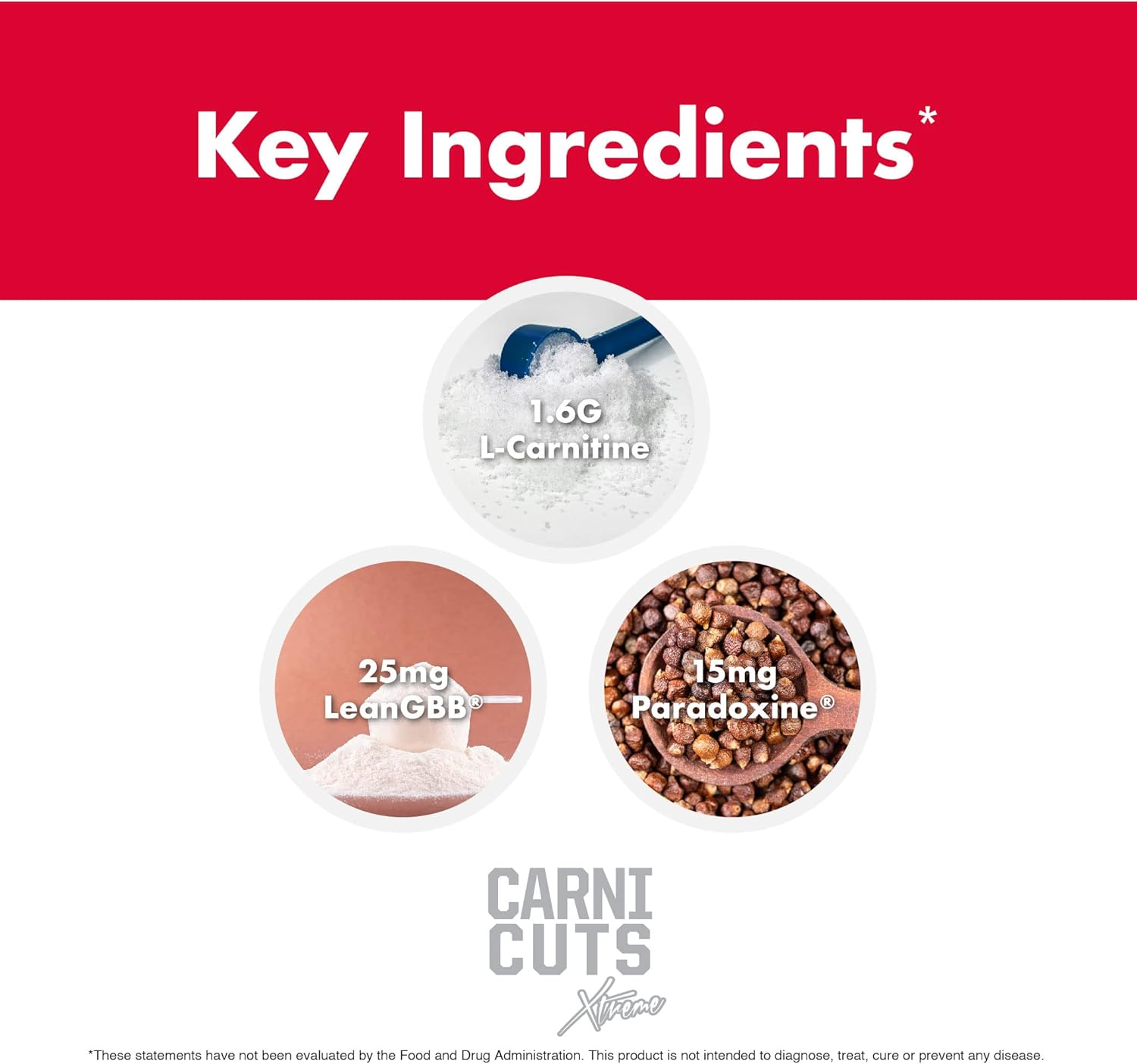 NutraOne Carnicuts Xtreme, L-Carnitine Liquid Supplement Stimulant Free (Pineapple - 31 Servings)*