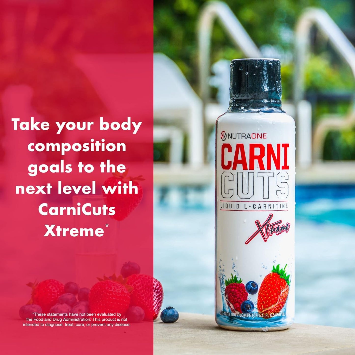 NutraOne Carnicuts Xtreme, L-Carnitine Liquid Supplement Stimulant Free (Pineapple - 31 Servings)*