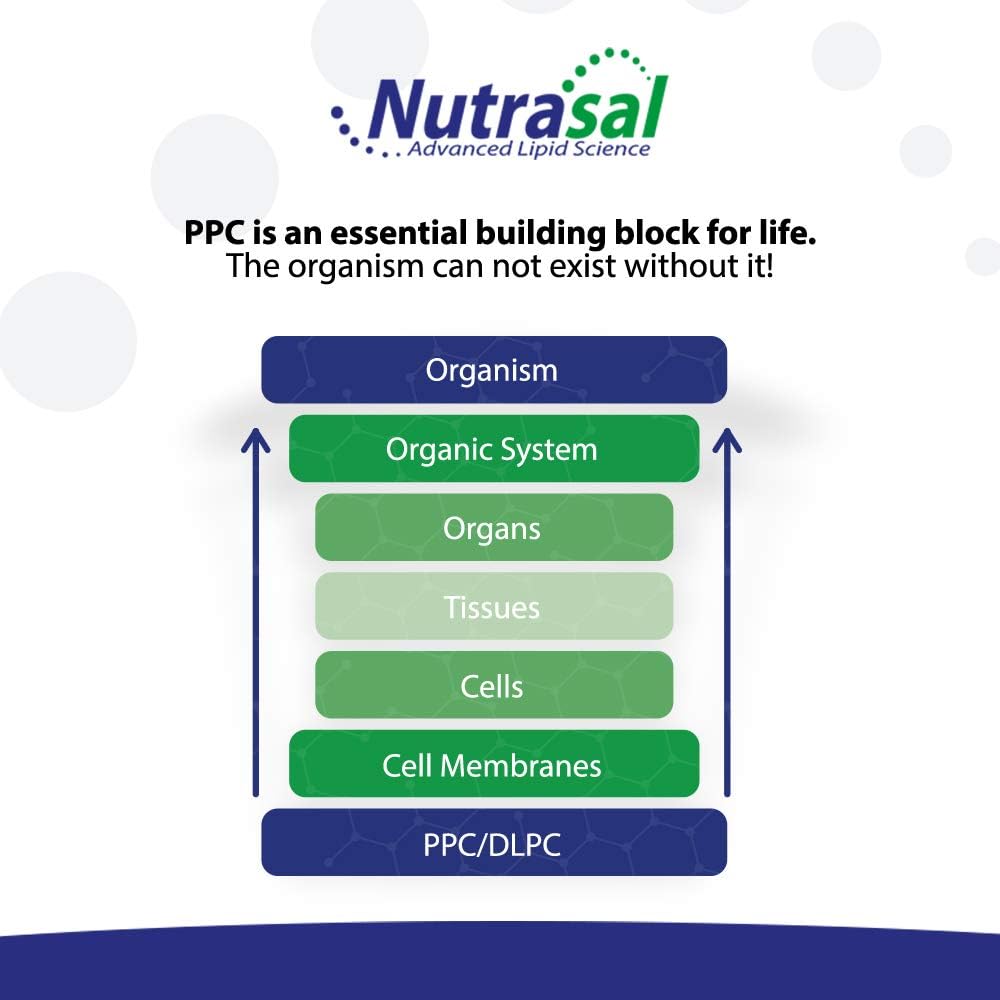 Nutrasal PhosChol Liquid Concentrate 3000mg 8 oz - Premium Quality Liver Support Supplement