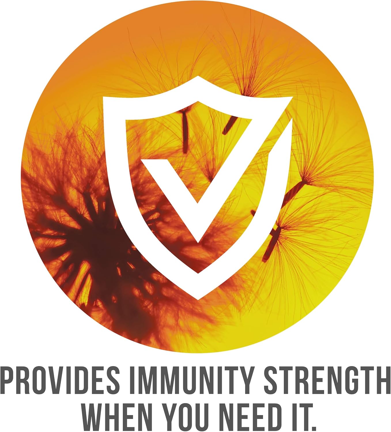 Nutrasumma Vitamin D3 Spray - 1000 IU - 1oz Bottle - High Absorption Rate for Bone Health and Immune Support