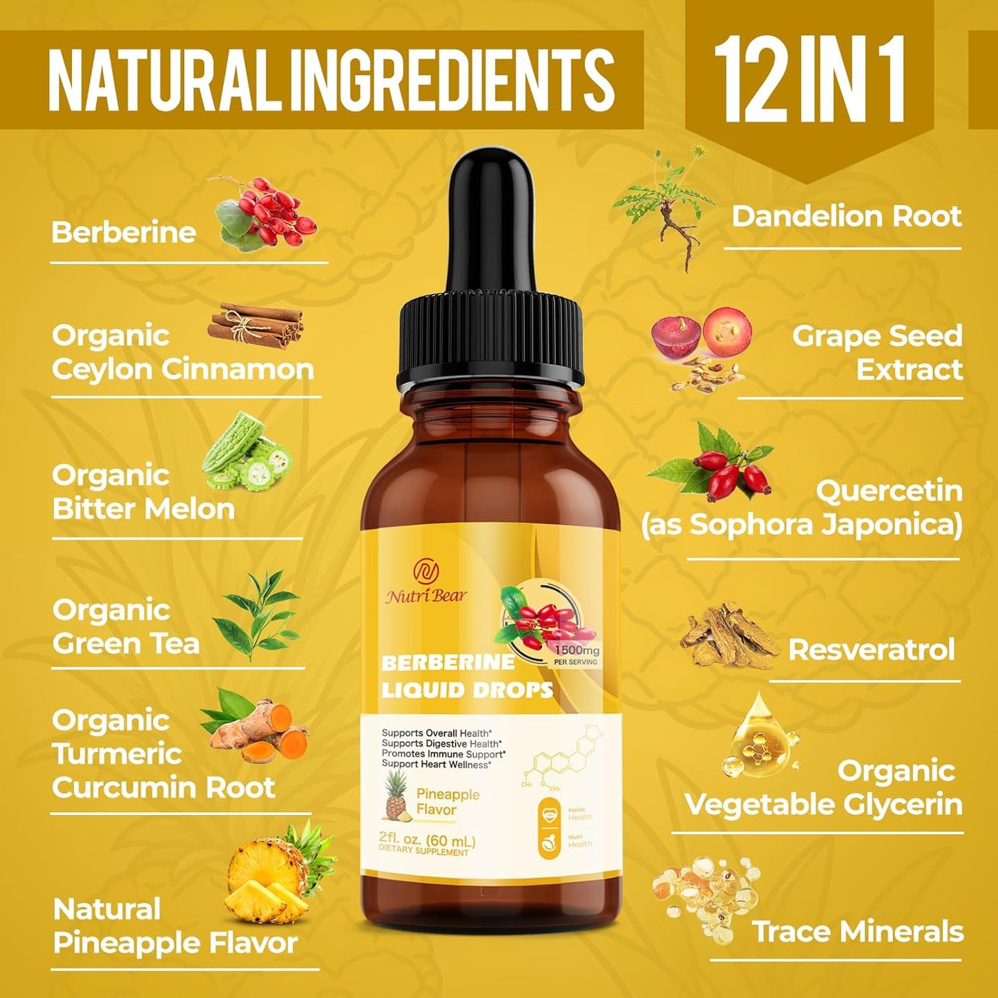 Nutribear Berberine Liquid Drops Supplement: AMPK Activator with Ceylon Cinnamon & Turmeric, Vegan Immune & Digestive Support