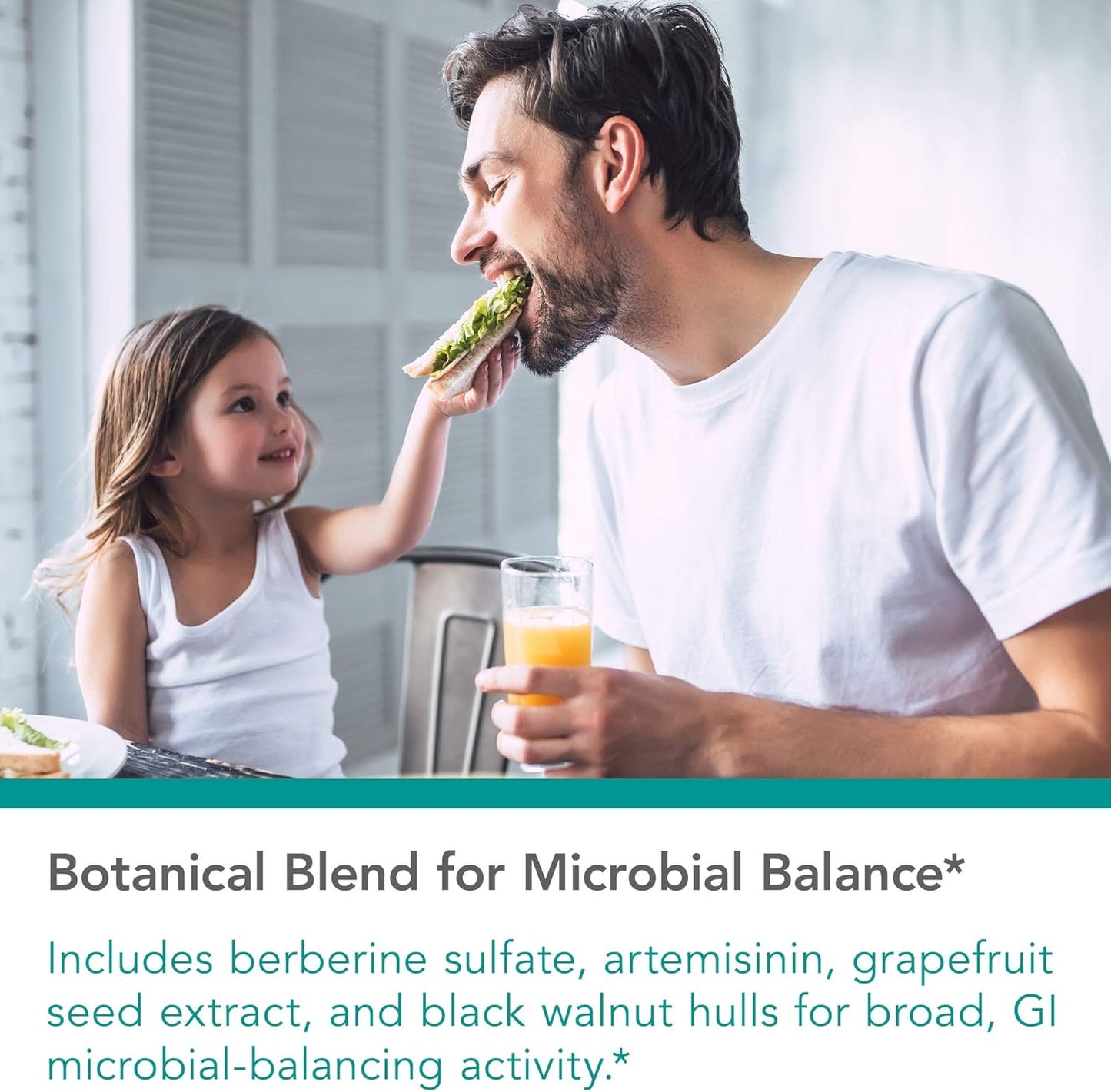 Nutricology Tribiotics - Gut Health Support with Berberine Sulfate, Citrus Seed Extract, Black Walnut Hulls - 90 Vegetarian Capsules