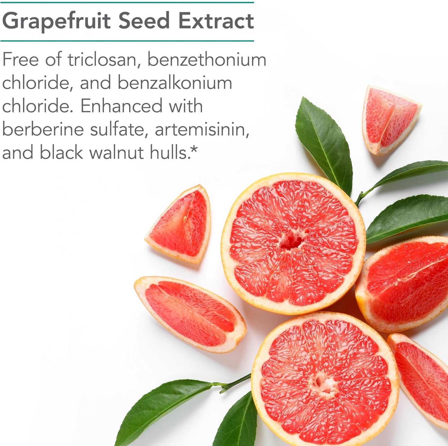 Nutricology Tribiotics - Gut Health Support with Berberine Sulfate, Citrus Seed Extract, Black Walnut Hulls - 90 Vegetarian Capsules