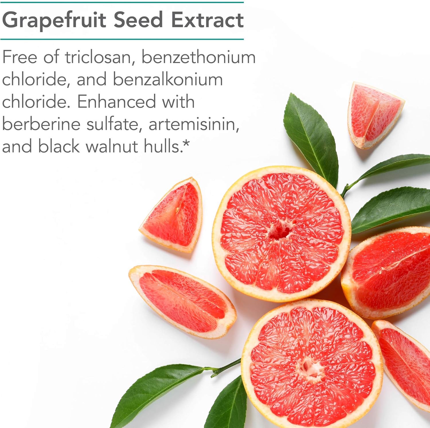 Nutricology Tribiotics - Gut Health Support with Berberine Sulfate, Citrus Seed Extract, Black Walnut Hulls - 90 Vegetarian Capsules