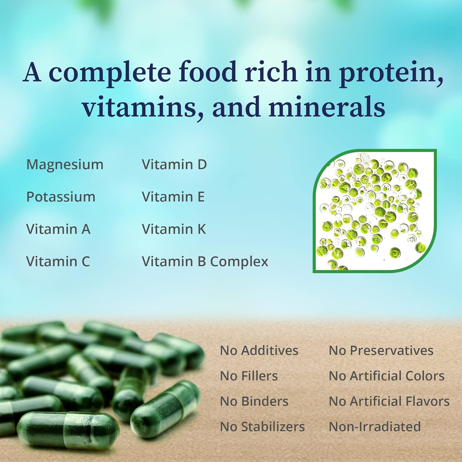 Nutrient-Dense Chlorella Growth Factor Capsules for Metabolism, Detox & Immunity - 100 Capsules