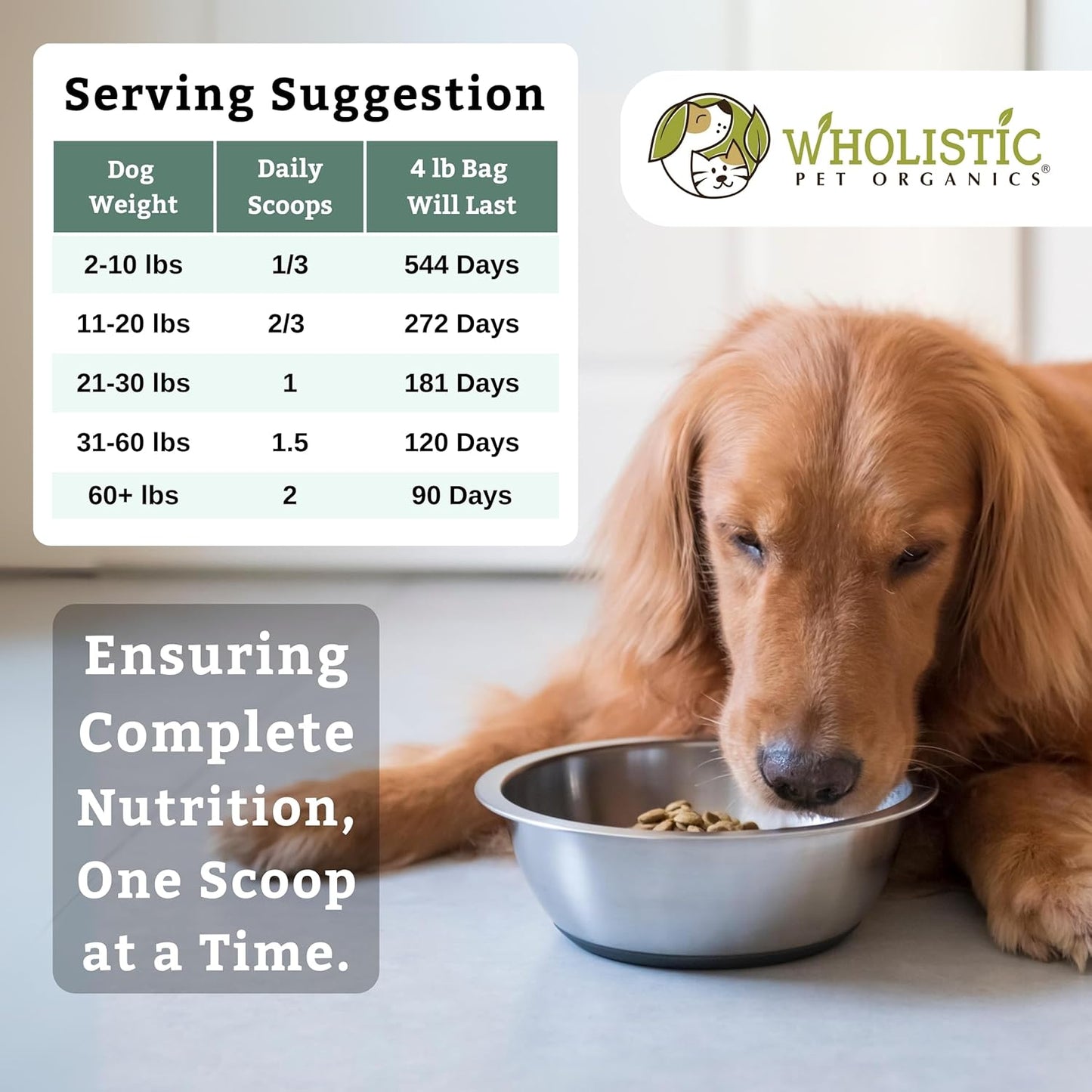 Nutrient-Rich Canine Complete Dog Multivitamin Powder - 4 Lb - Wholistic Pet Organics - Supplements for Immune System, Skin, Coat & Health