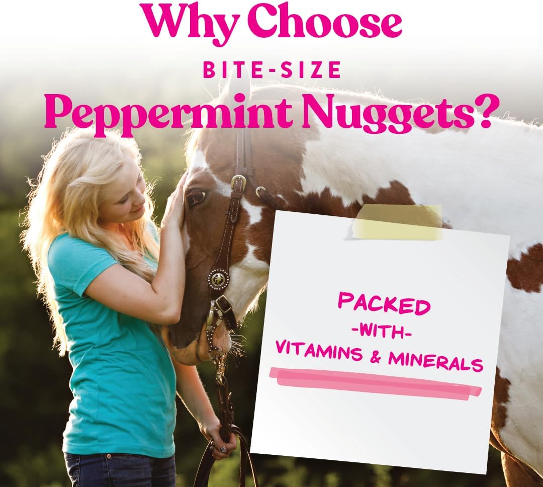 Nutrient-Rich Manna Pro Peppermint Flavor Nuggets | Bite-Size Treats for Horses | 1lb Pack