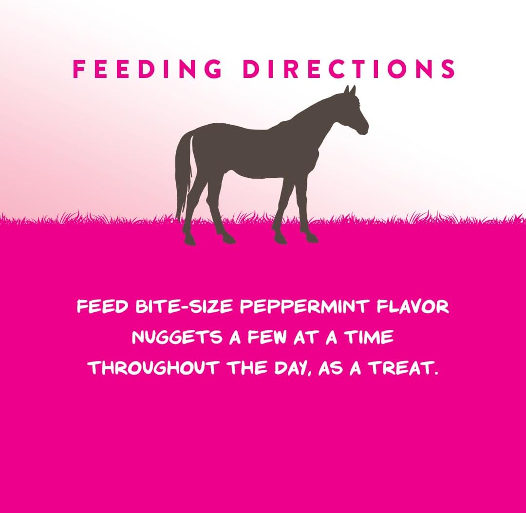 Nutrient-Rich Manna Pro Peppermint Flavor Nuggets | Bite-Size Treats for Horses | 1lb Pack