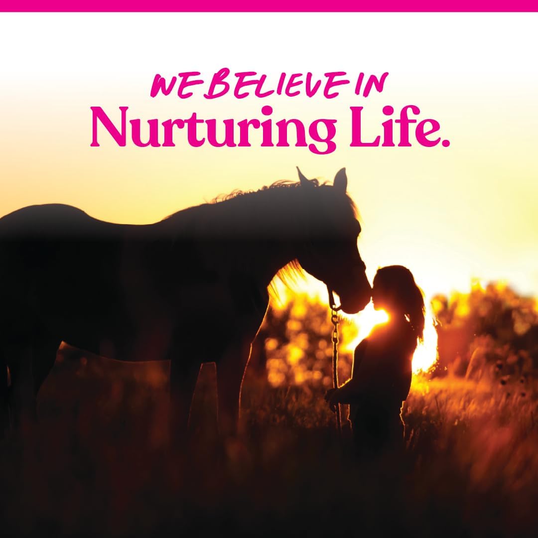 Nutrient-Rich Manna Pro Peppermint Flavor Nuggets | Bite-Size Treats for Horses | 1lb Pack