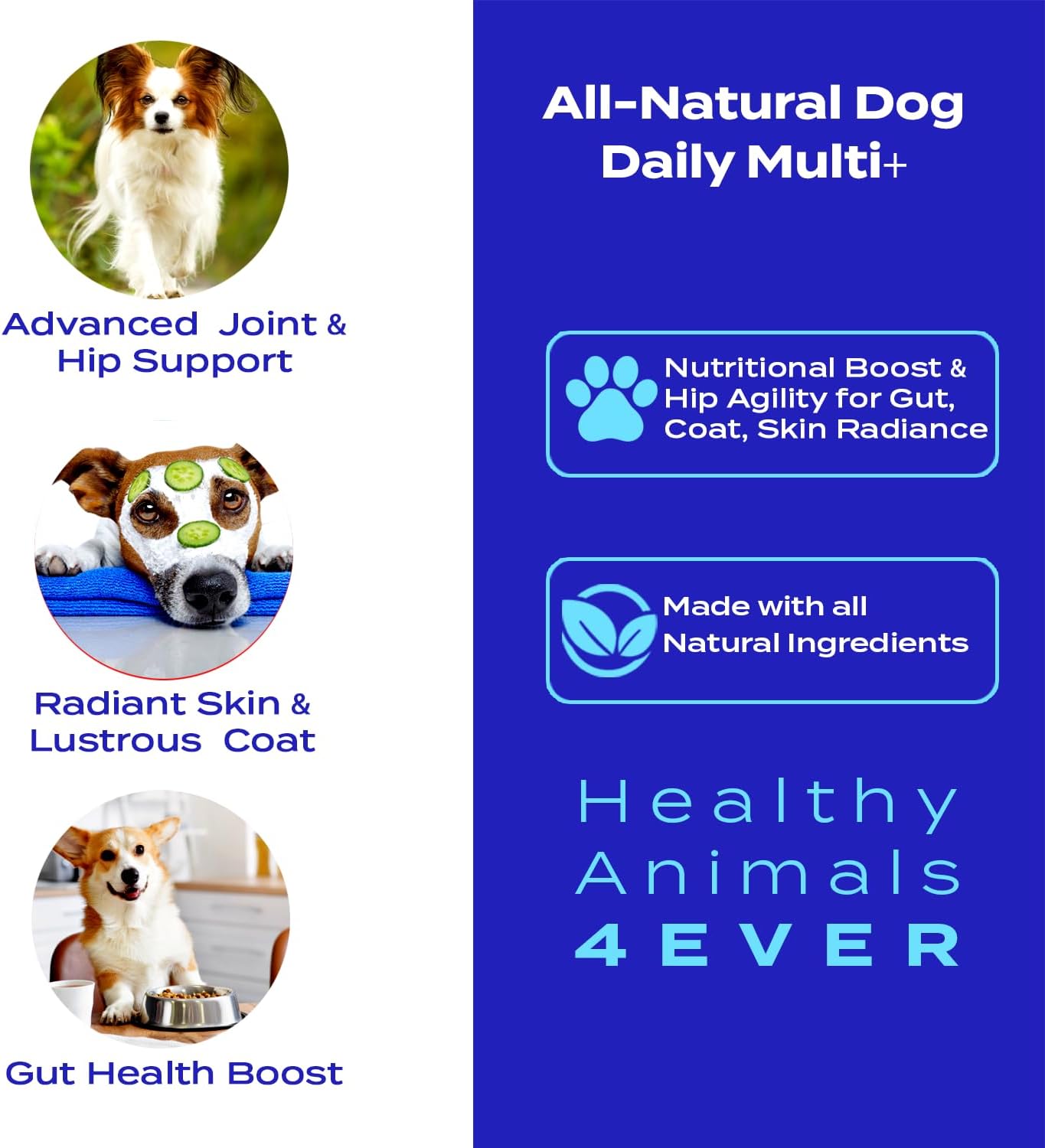 Nutritional Boost for Healthy Animals with Strong Ingredients - 300 Tablets