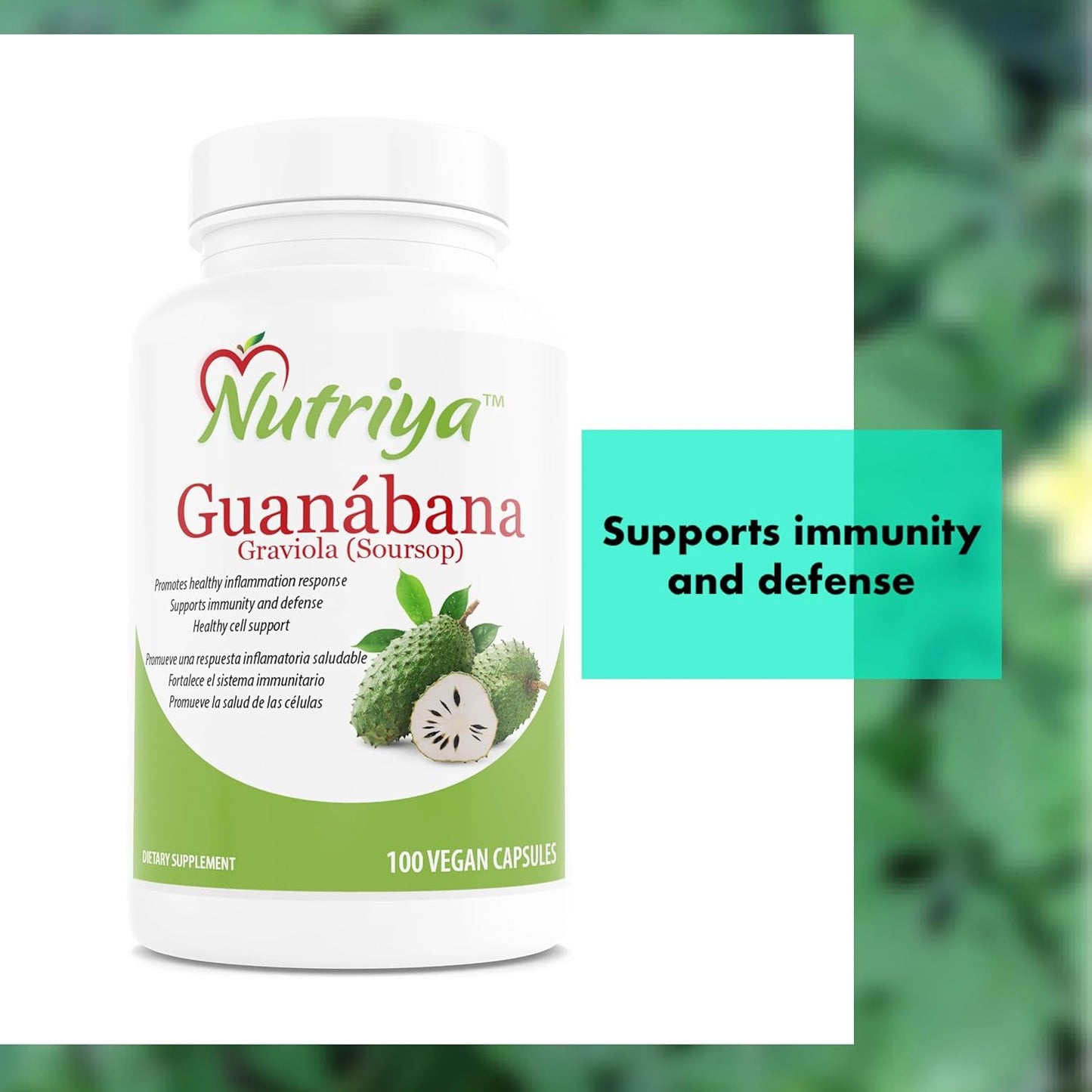 Nutriya Guanábana (Graviola-Soursop) Capsules - Super Antioxidant for Healthy Cells - Immune System Support - 100 Vegetarian Capsules