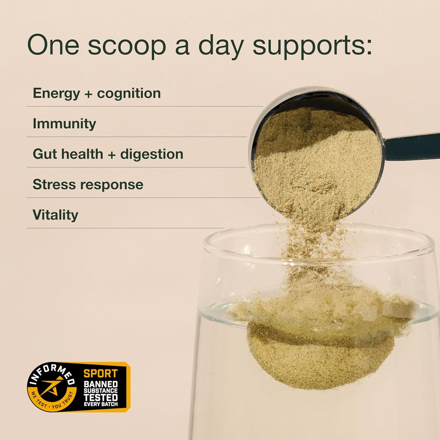 Nuzest Good Green Vitality Greens Powder – Vegan Multivitamin Supplement with Superfoods (300g)