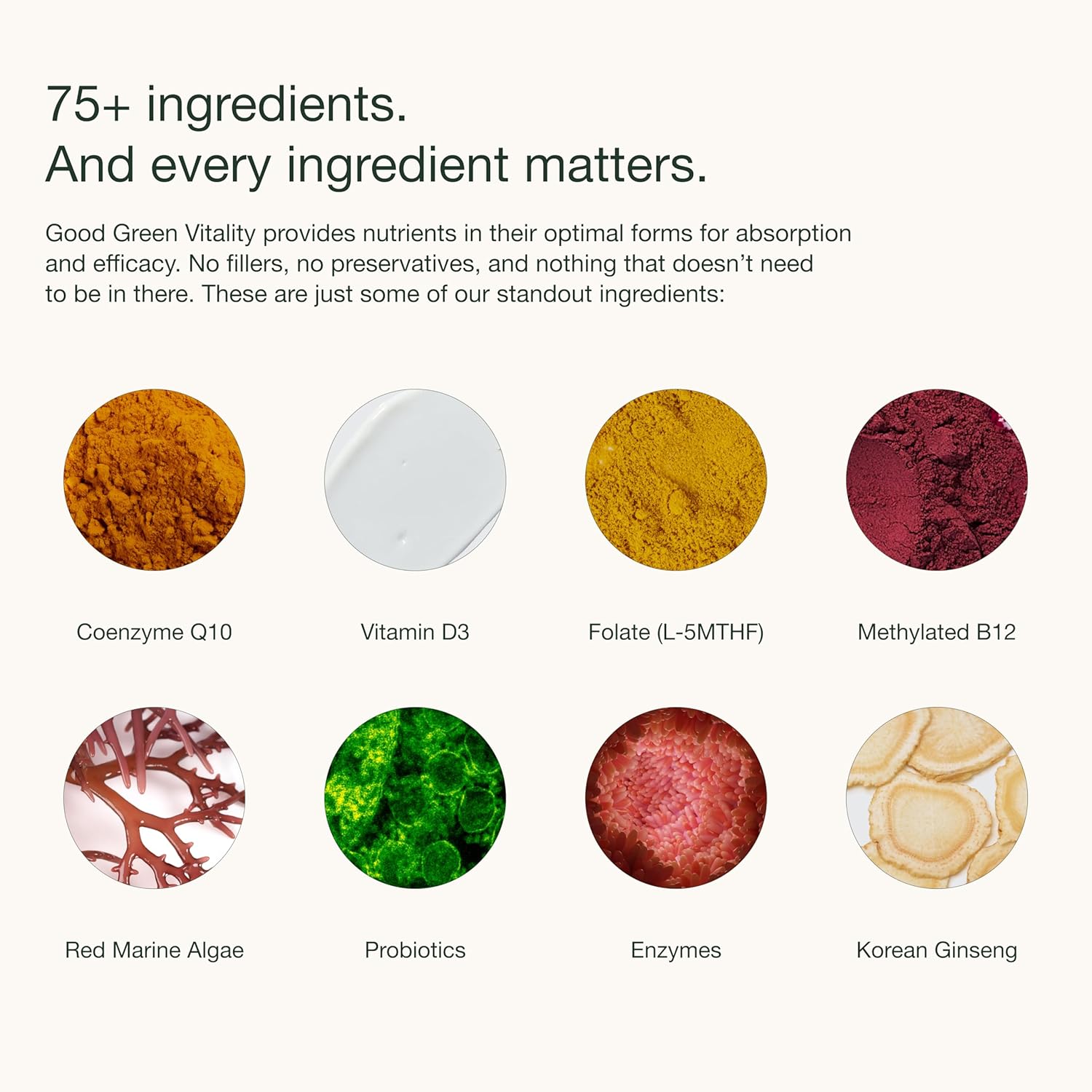 Nuzest Good Green Vitality Greens Powder – Vegan Multivitamin Supplement with Superfoods (300g)