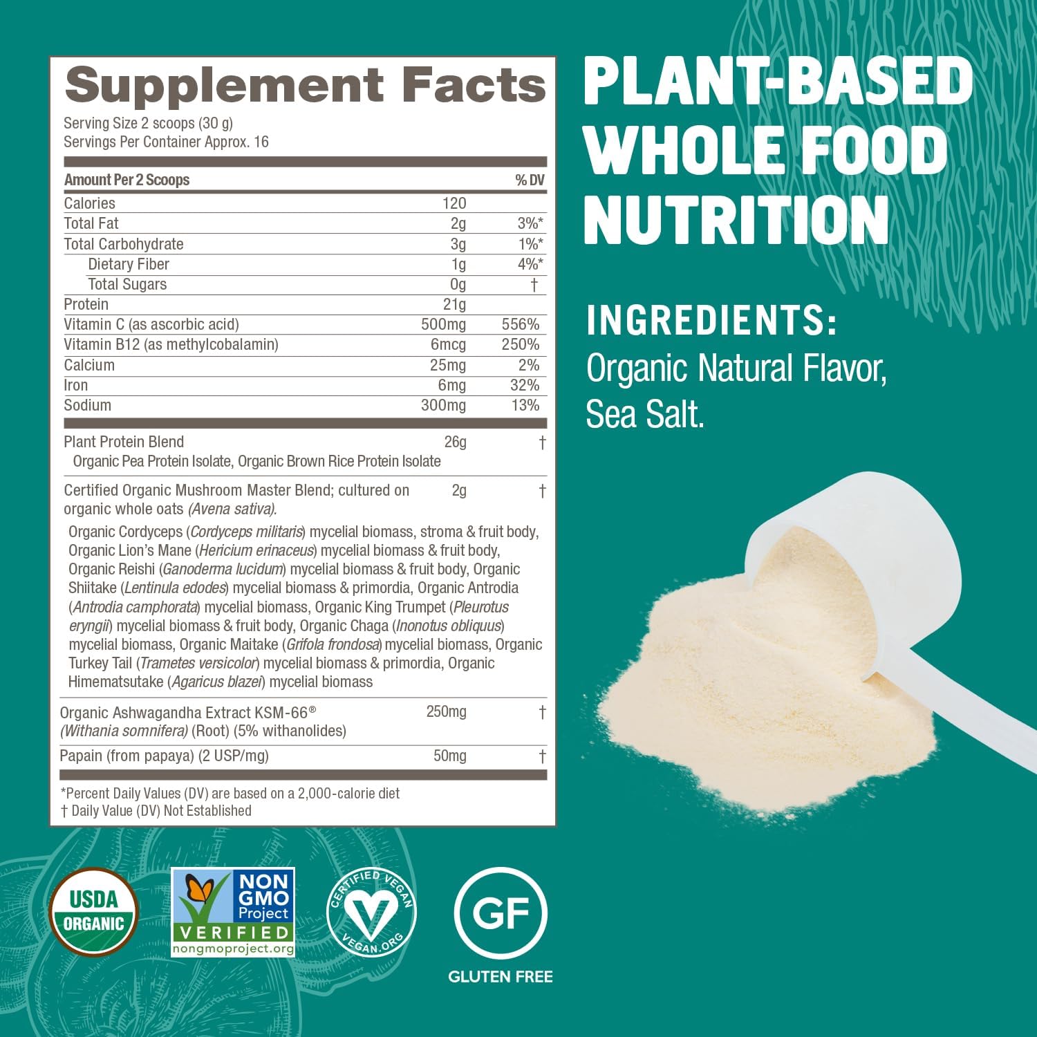OM Mushroom Superfood Master Blend Plant-Based Protein Powder - 17.07 oz, 16 Servings, Unsweetened Original Flavor