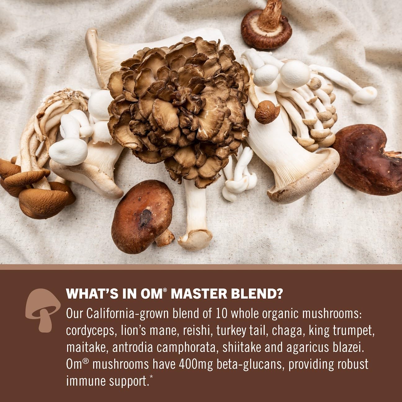 OM Mushroom Superfood Master Blend Single Serve Packets - Creamy Chocolate Plant Protein with Mushrooms & Adaptogens for Energy, Recovery, Stress Relief - 10 Count