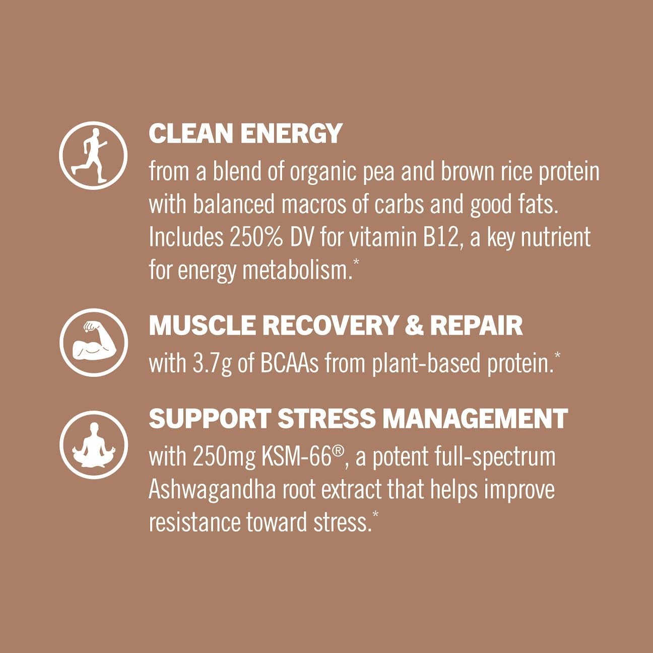 OM Mushroom Superfood Master Blend Single Serve Packets - Creamy Chocolate Plant Protein with Mushrooms & Adaptogens for Energy, Recovery, Stress Relief - 10 Count