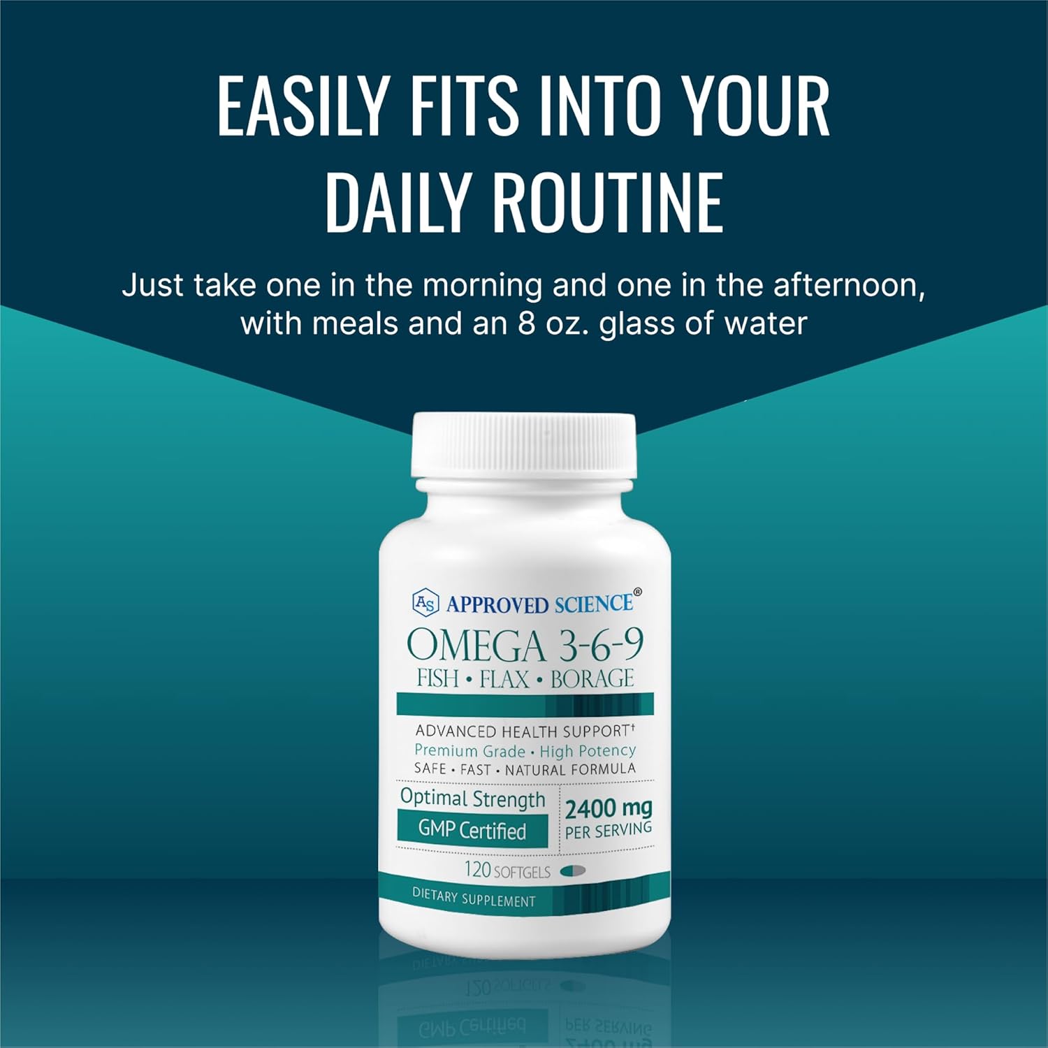 Omega 3-6-9 Daily Blend 2400mg - Fish, Flaxseed, Borage Oils - Vitamin E - Wellness Support - Non-GMO - Mercury-Free - 120 Softgels - 2 Month Supply