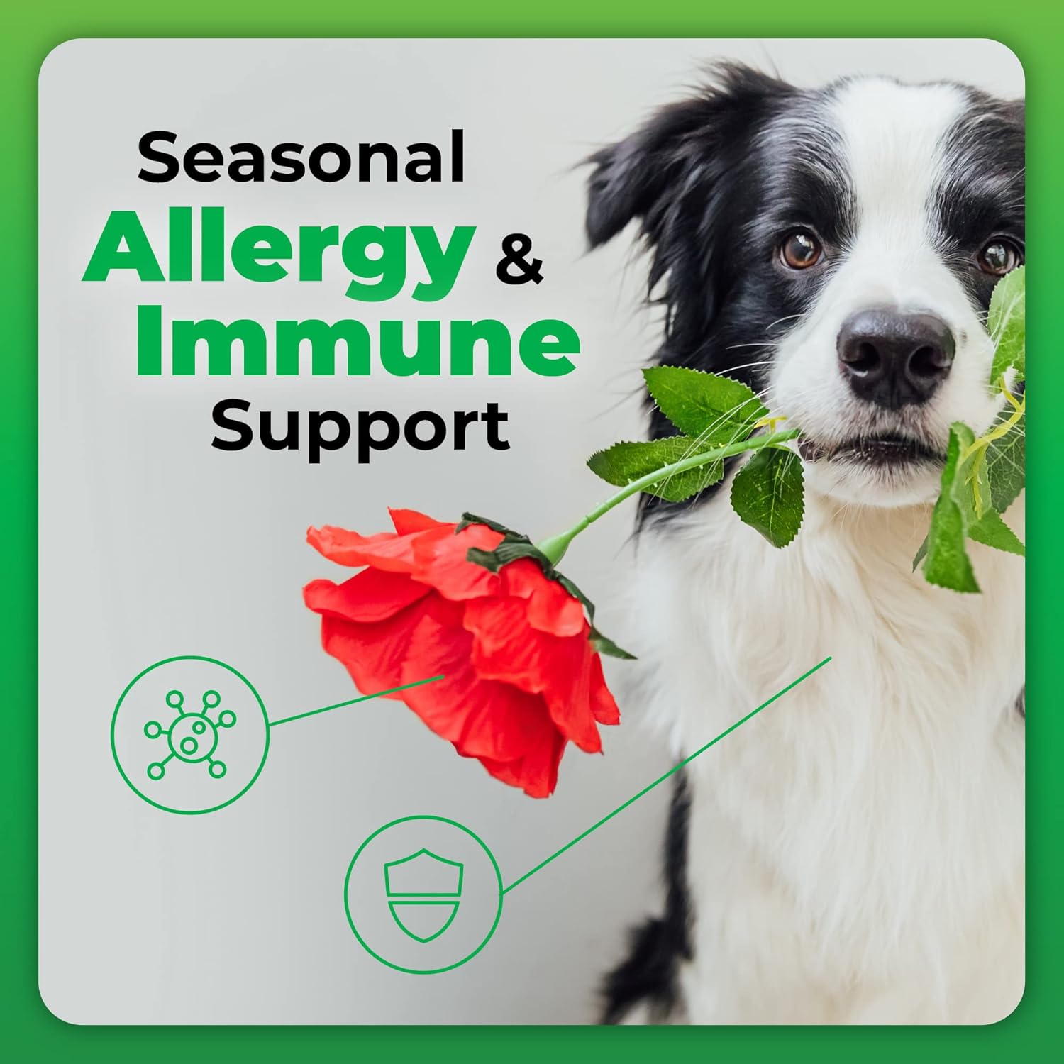 Omega 3, 6, and 9 Skin and Coat Chews for Dogs - Reduce Shedding, Support Skin Health - 70 Chews