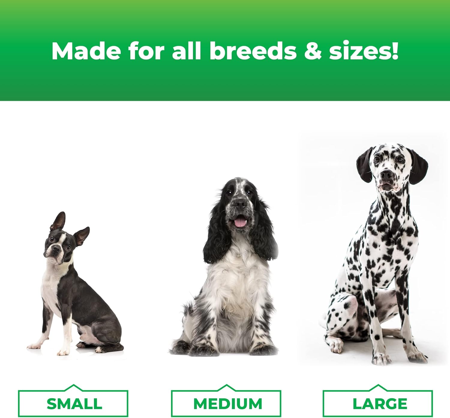 Omega 3, 6, and 9 Skin and Coat Chews for Dogs - Reduce Shedding, Support Skin Health - 70 Chews