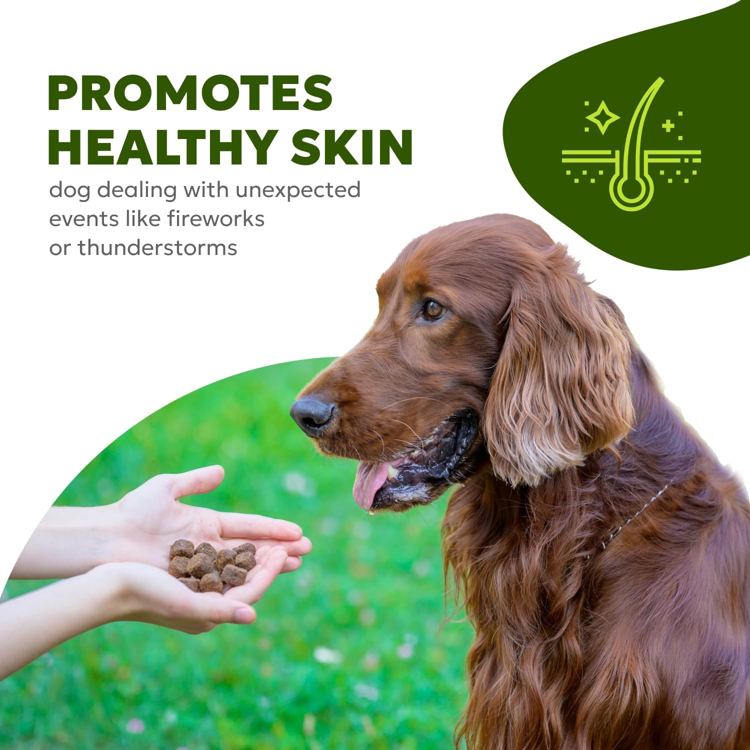 Omega-3 Dog Skin & Coat Soft Chews with Fish Oil, Biotin, Vitamins A & D3 | Pet Vitamins for Skin Health | 60 Chews